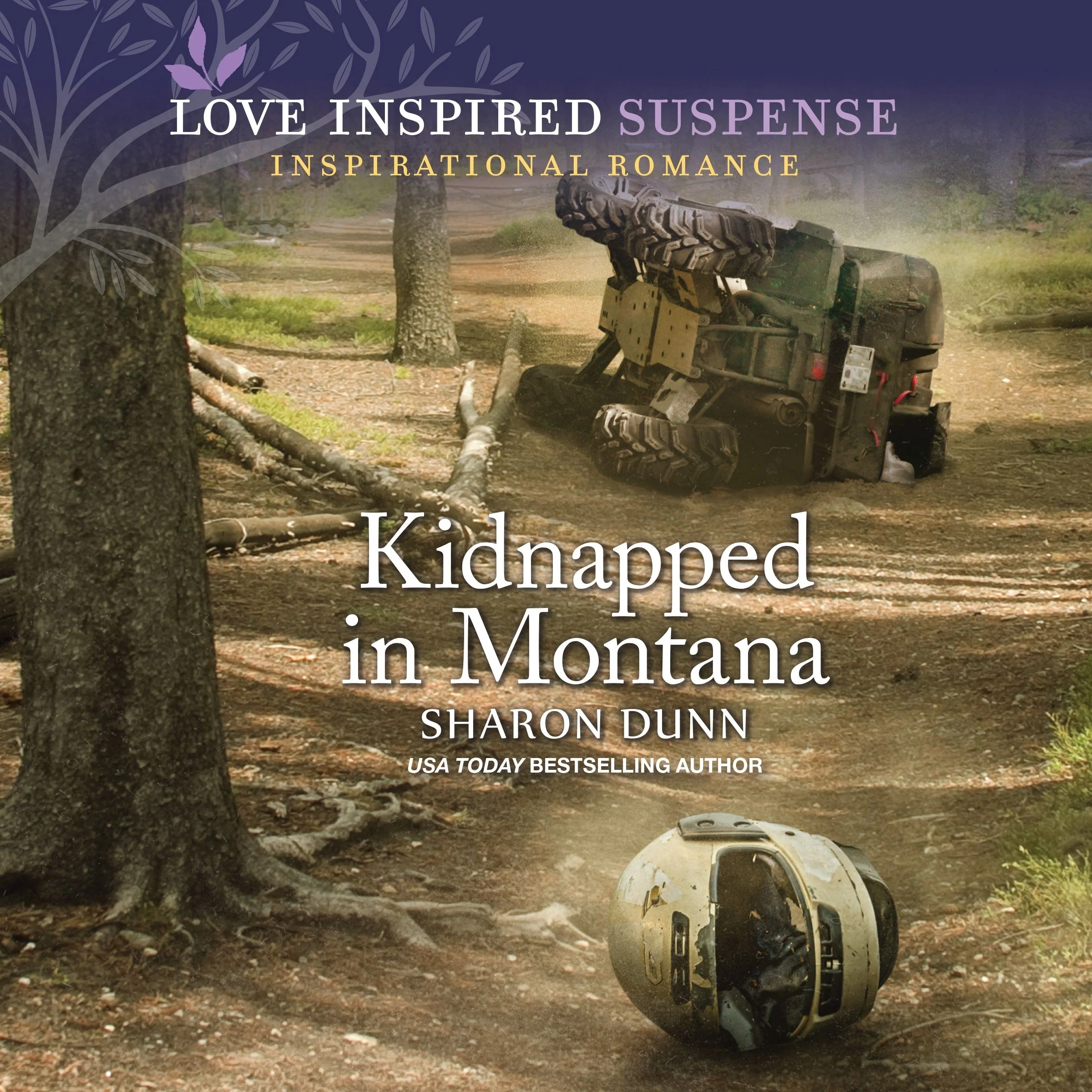 Kidnapped in Montana - Image 2