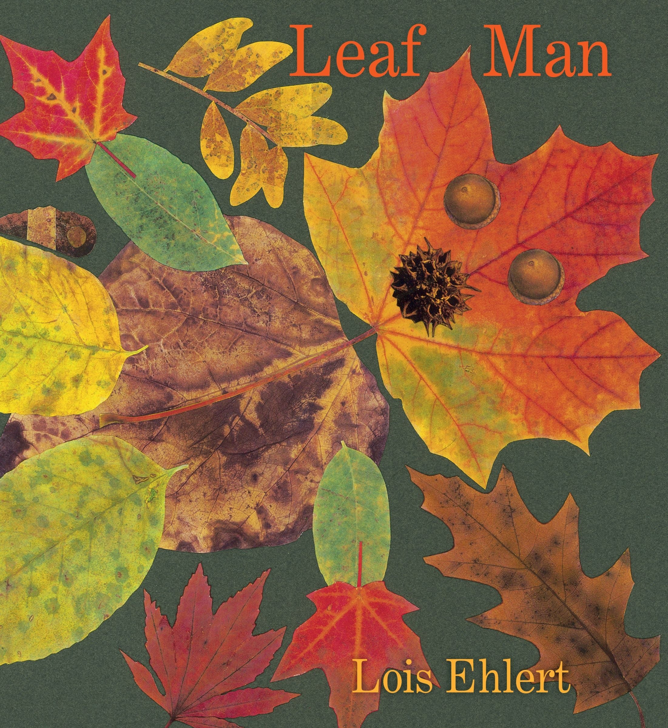 Leaf Man Board Book - Image 3
