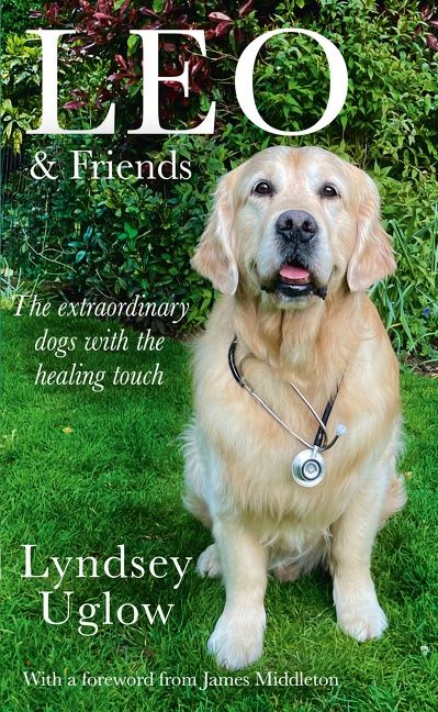 Leo & Friends: The Dogs with a Healing Touch - Image 3