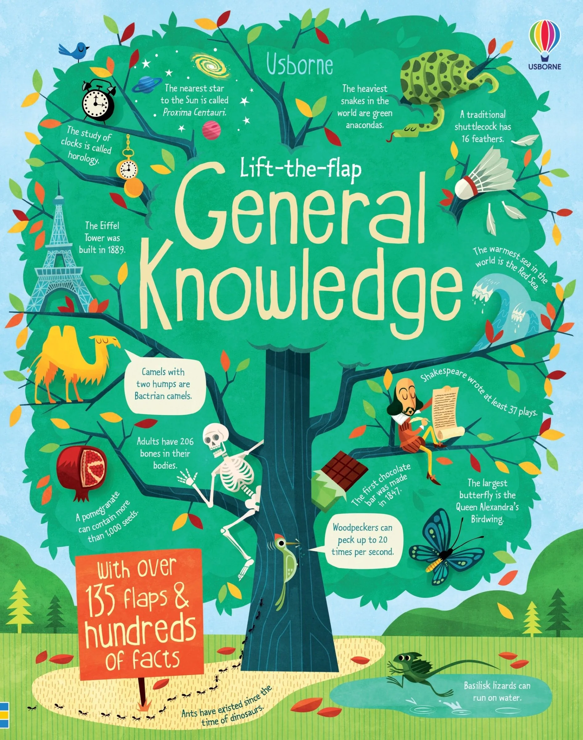 Lift-the-Flap General Knowledge - Image 2