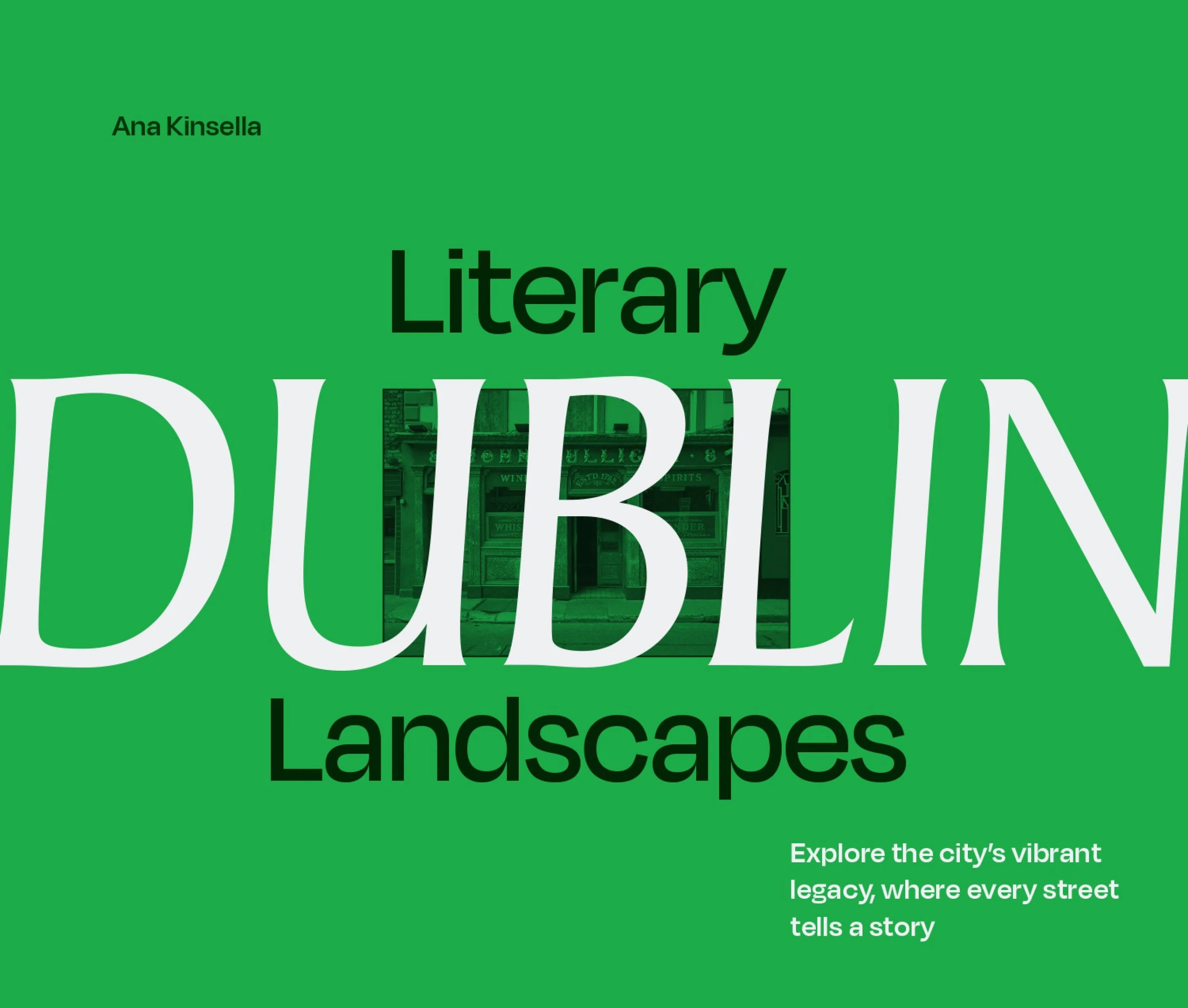 Literary Landscapes: Dublin: Explore the city’s vibrant legacy, where every street tells a story (Literary Landscapes) - Image 3