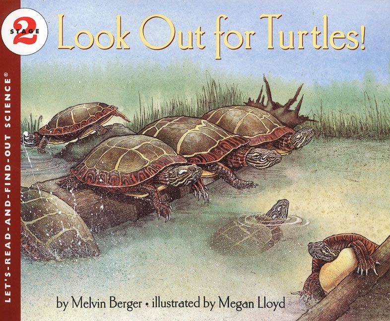 Look Out for Turtles! - Image 2