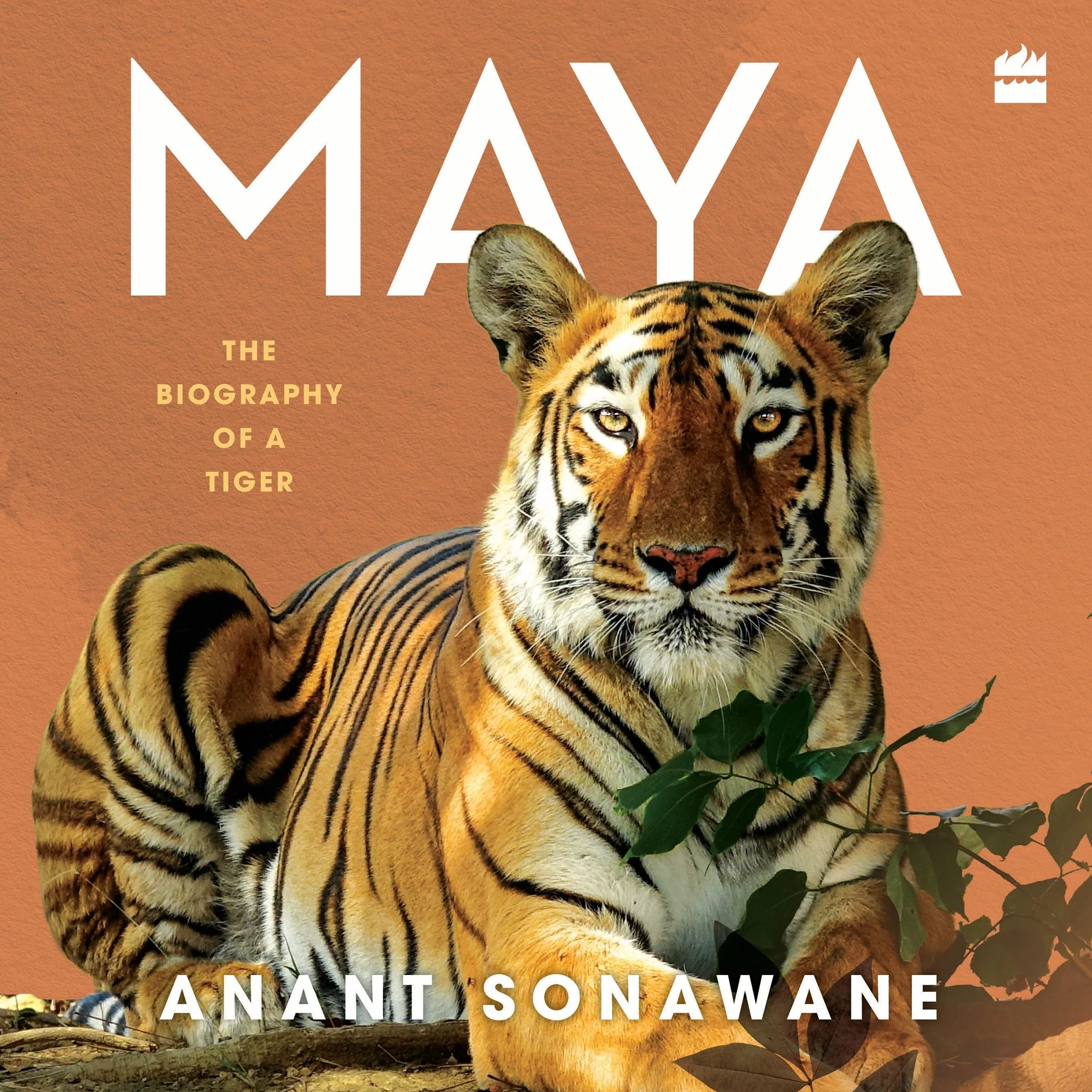Maya - Image 2