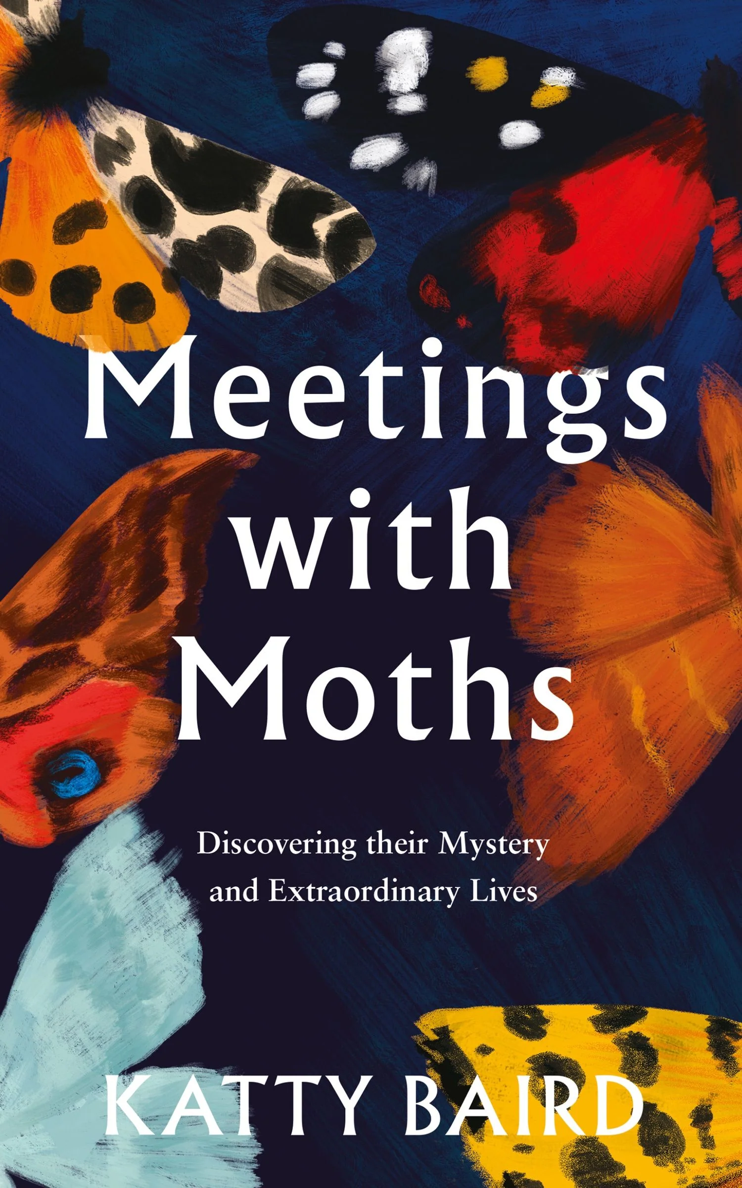 Meetings with Moths - Image 2