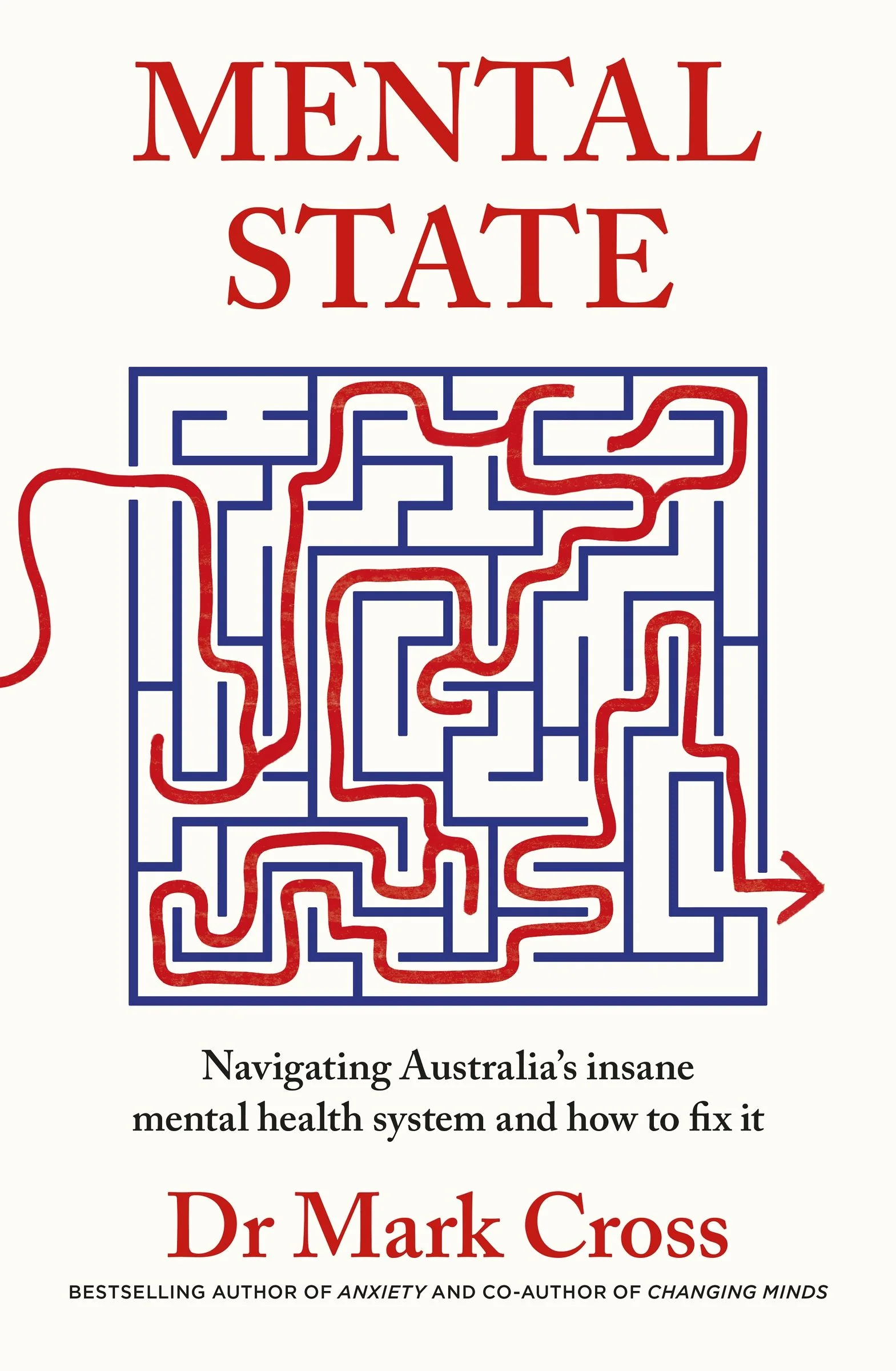 Mental State: The insanity of Australia's mental health system - and how to fix it, from the bestselling author of ANXIETY and CHANGING MINDS - Image 2
