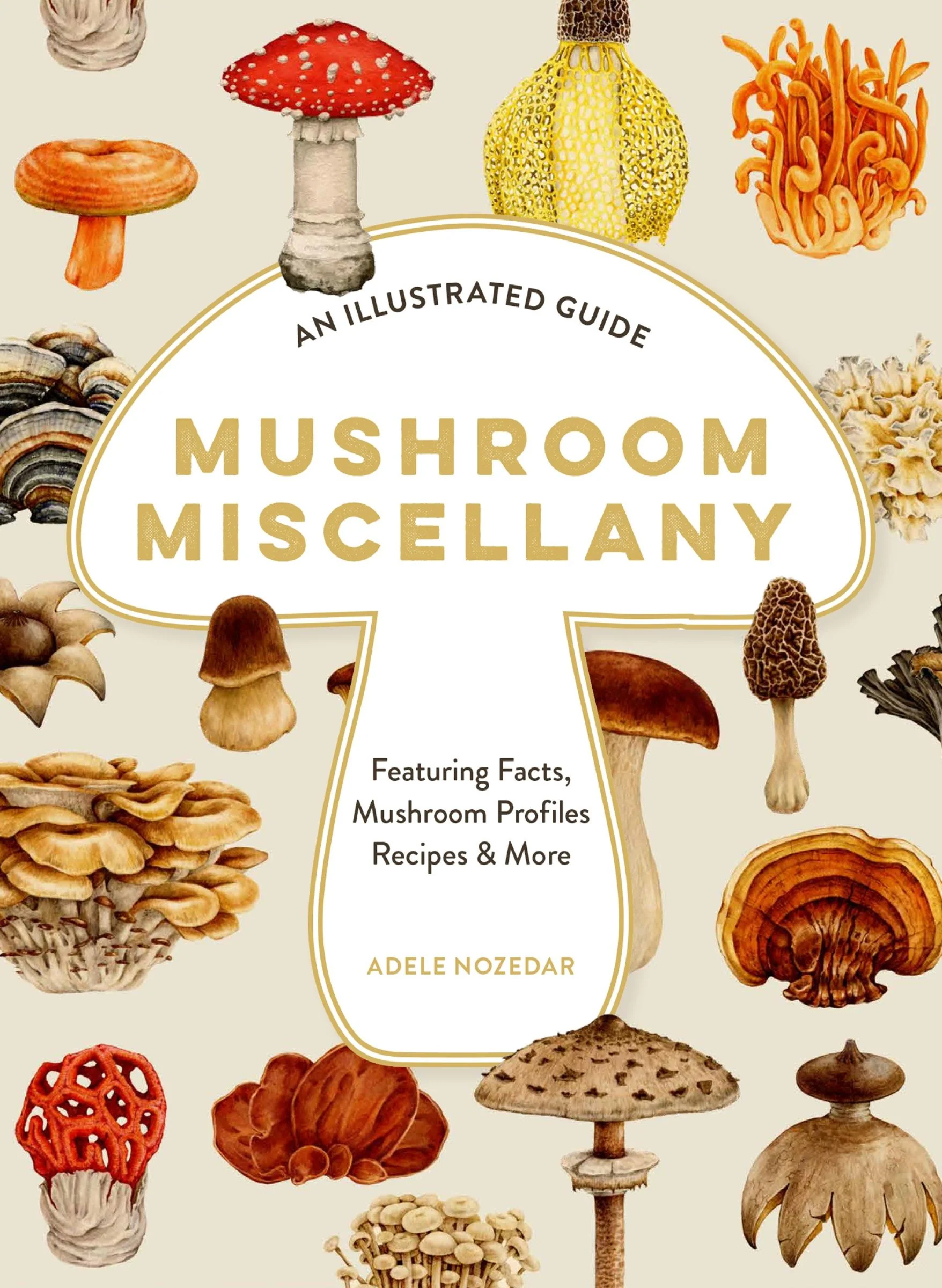 Mushroom Miscellany: An Illustrated Guide Featuring Fun Facts, Mushroom Profiles, Recipes & More - Image 3