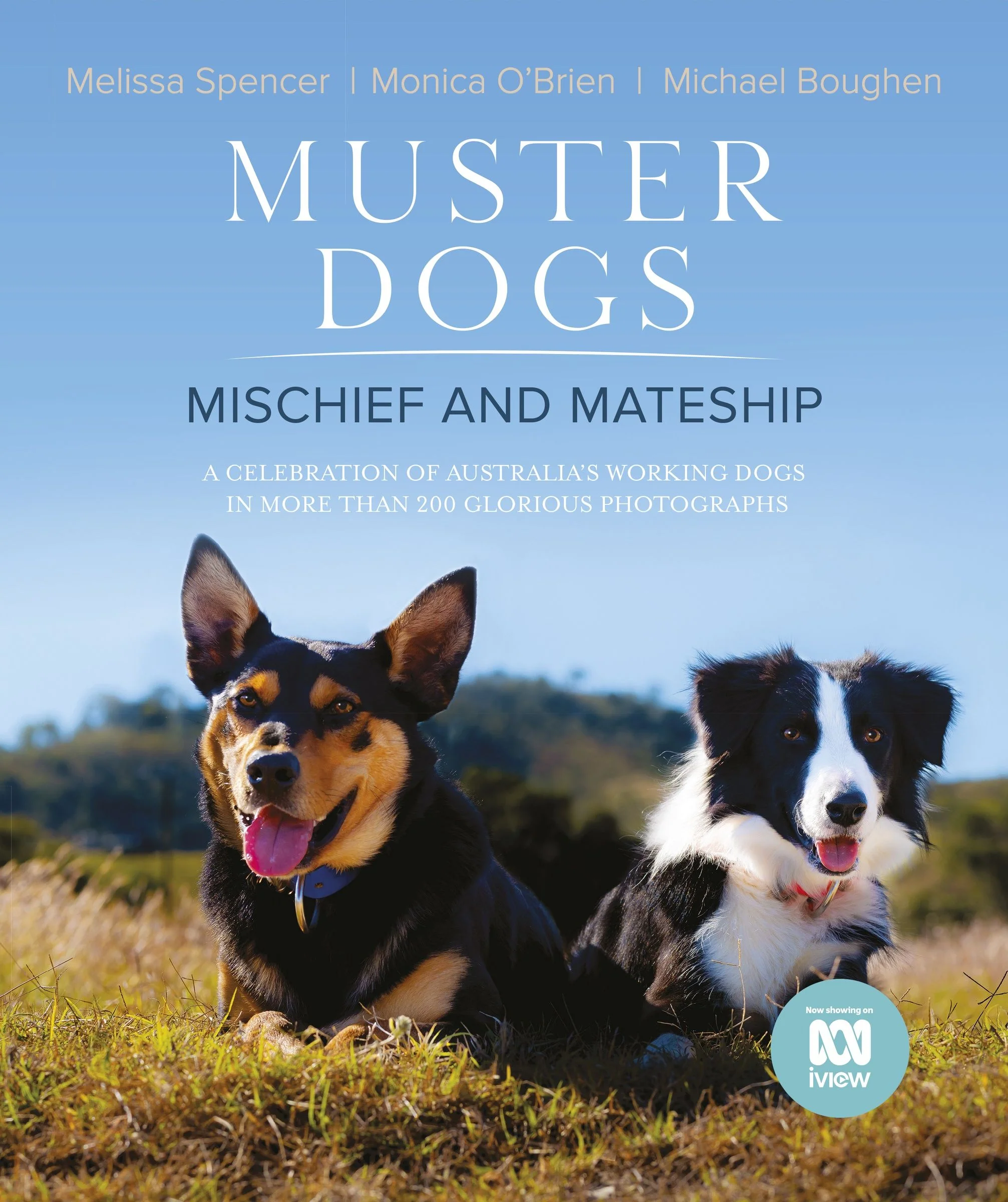 Muster Dogs: Mischief and Mateship: a charming companion picture book to the upcoming ABC television special Where Are They Now, for fans of THE FLYING VET and BACK ROADS - Image 2