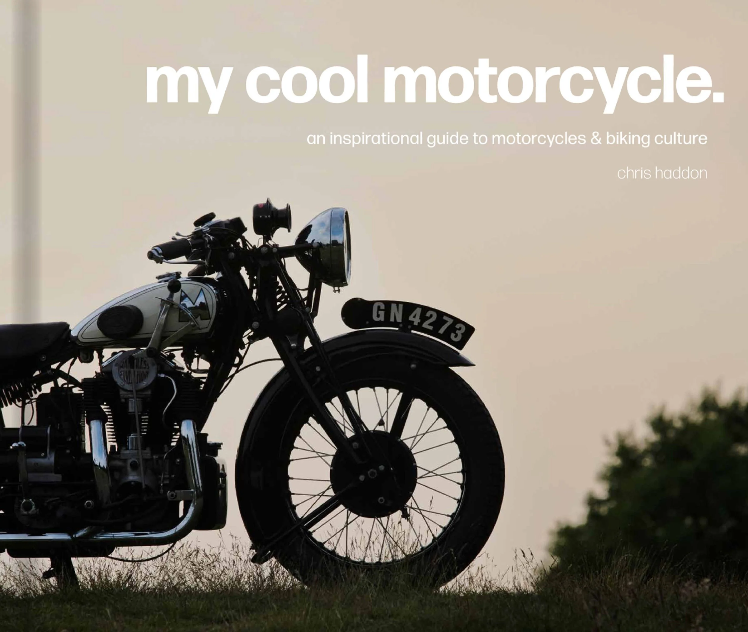 My Cool Motorcycle - Image 2