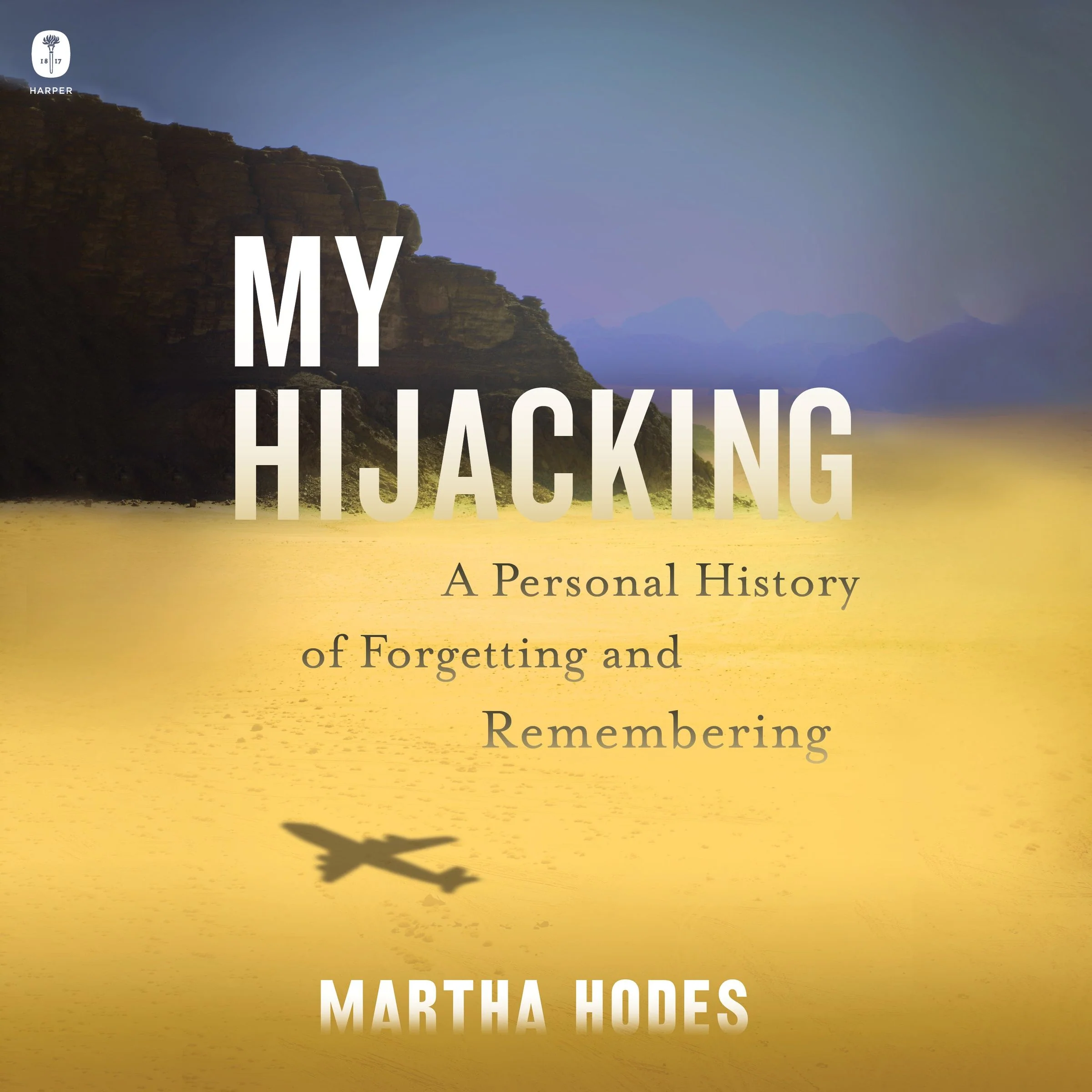 My Hijacking - Image 4