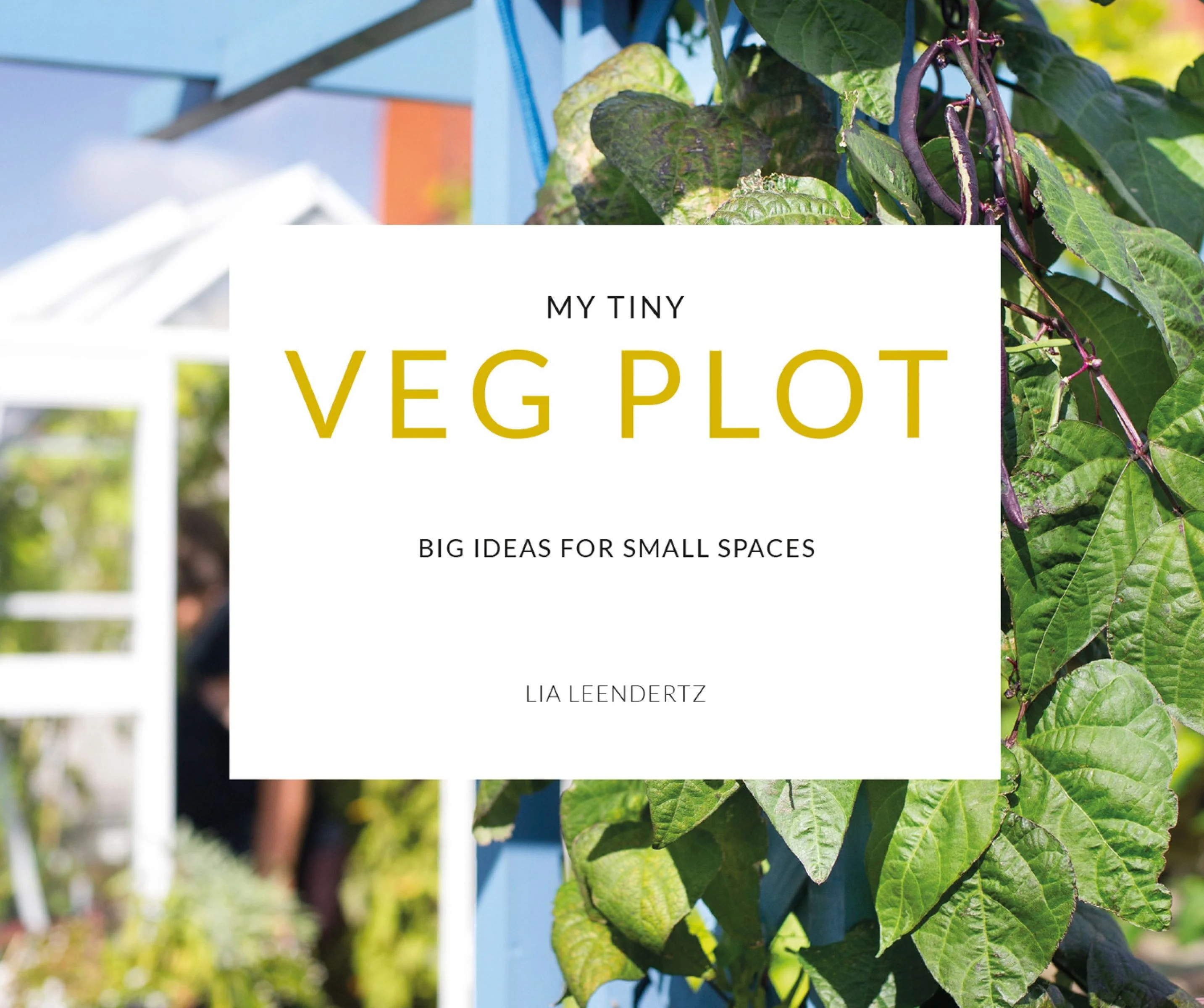 My Tiny Veg Plot - Image 2