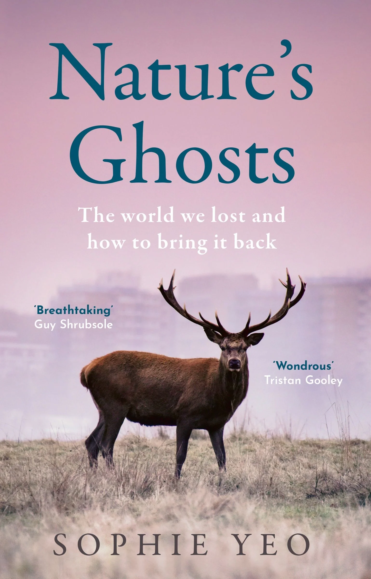Nature’s Ghosts - Image 2