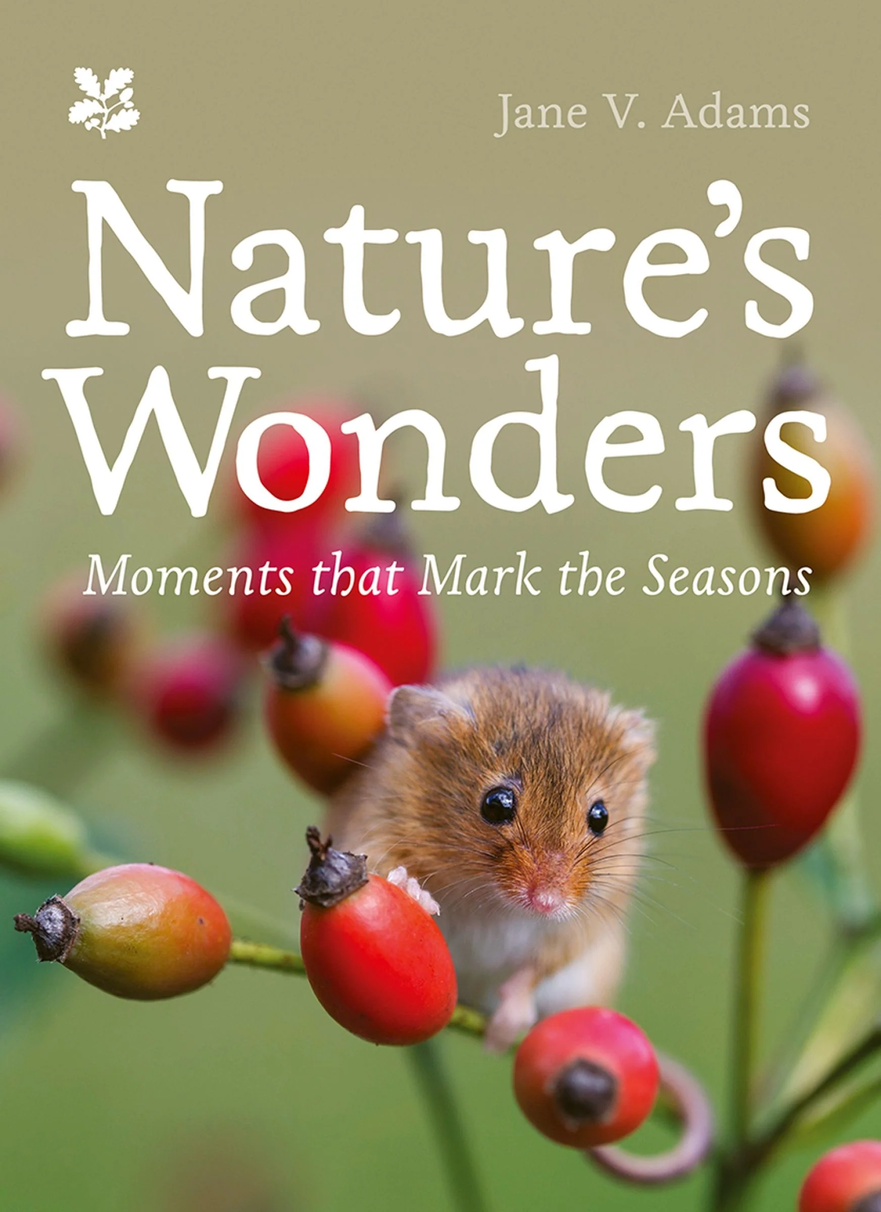 Nature’s Wonders: Moments that mark the seasons (National Trust) - Image 2