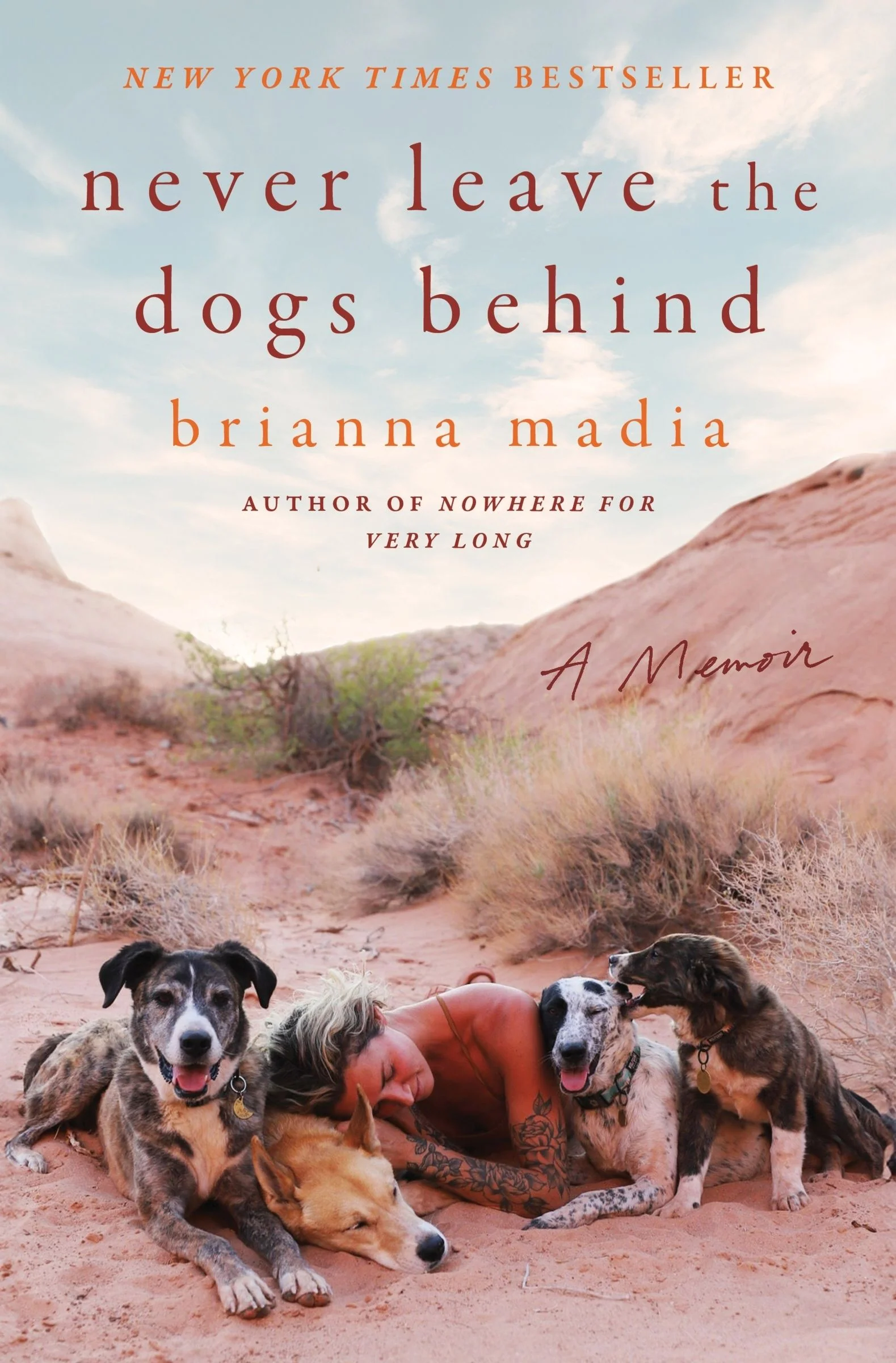 Never Leave the Dogs Behind - Image 2