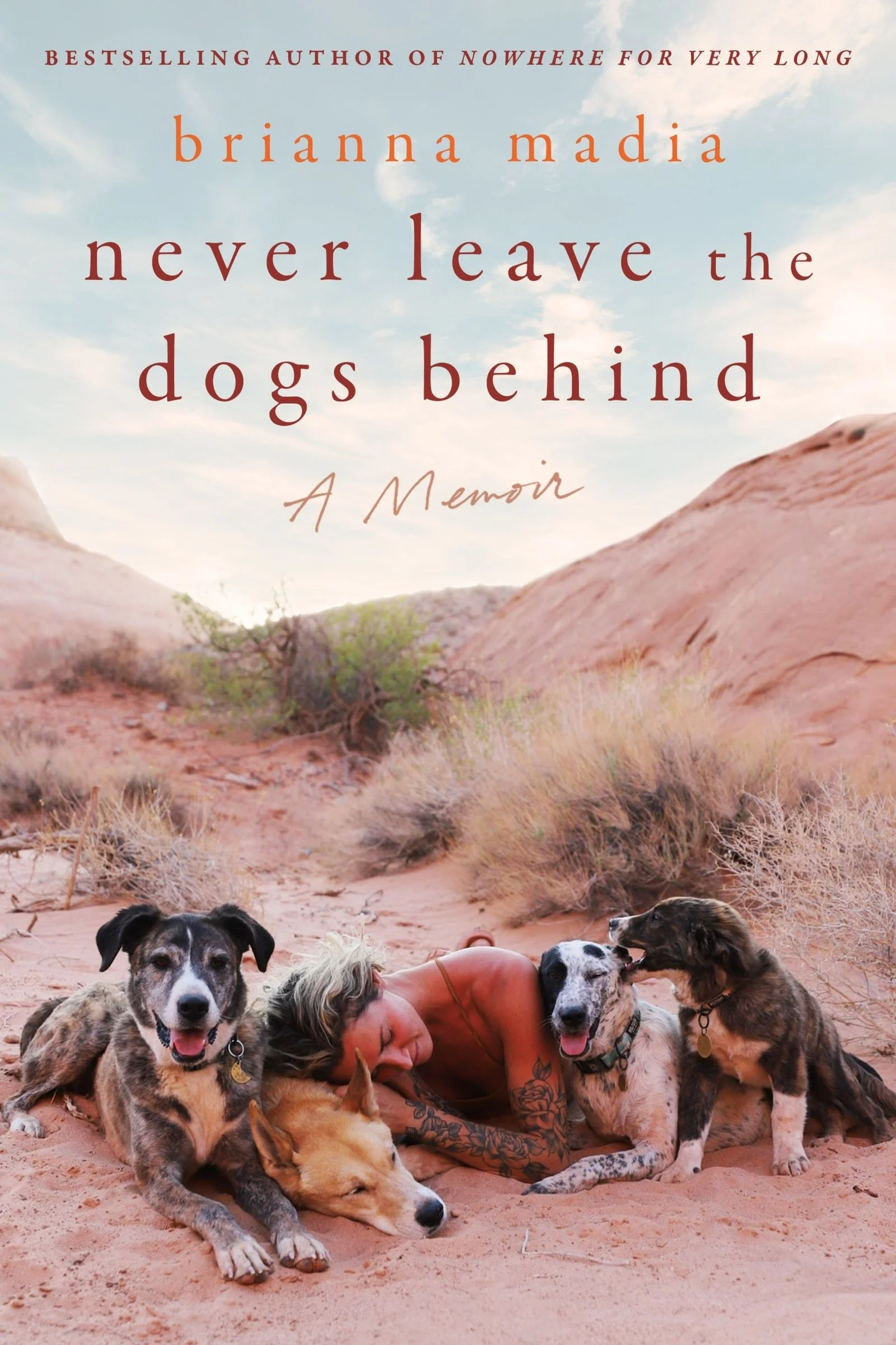 Never Leave the Dogs Behind - Image 4