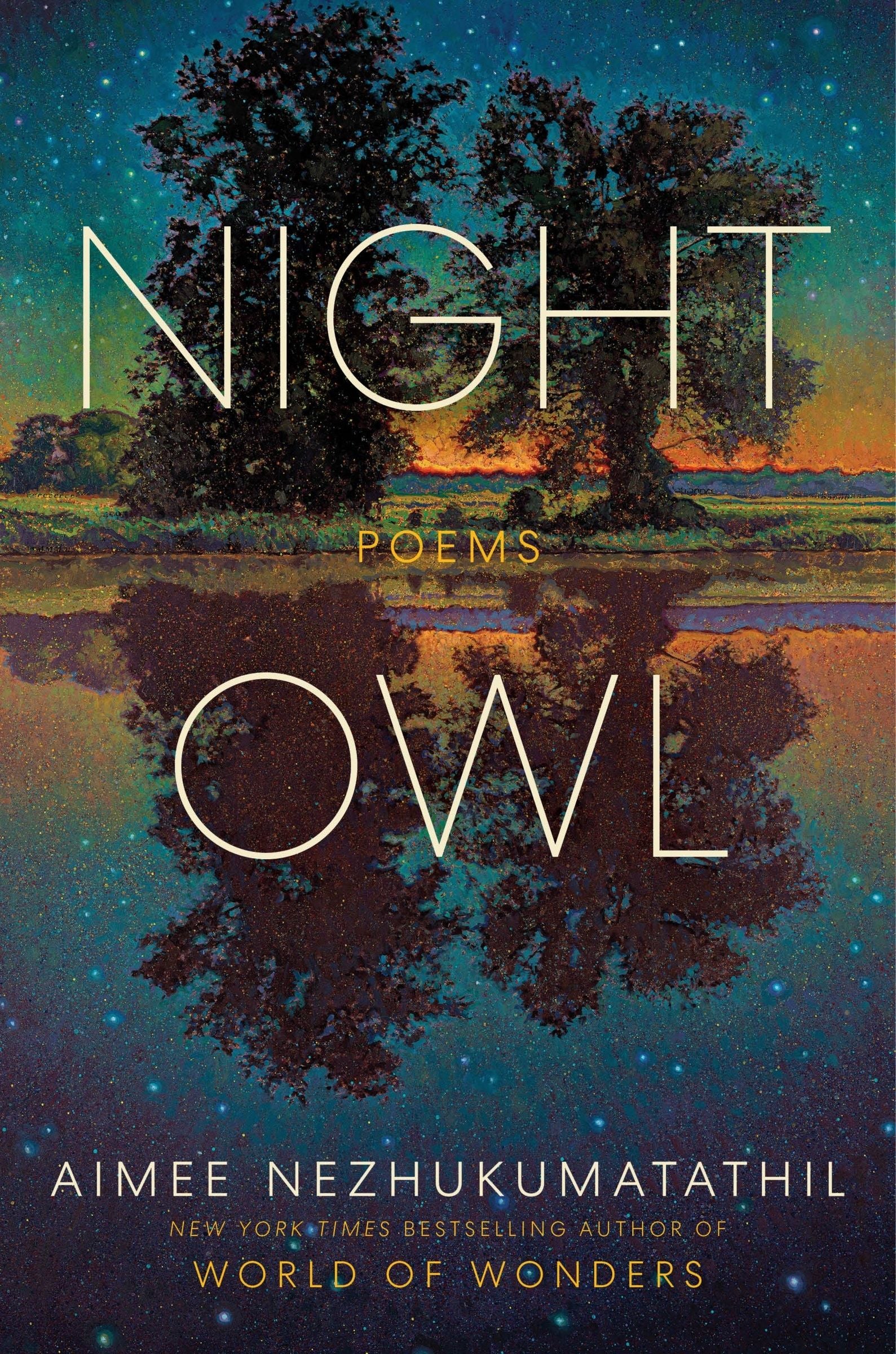 Night Owl - Image 3