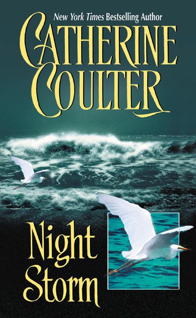 Night Storm - Image 2