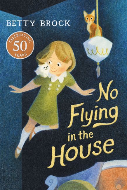 No Flying in the House - Image 2