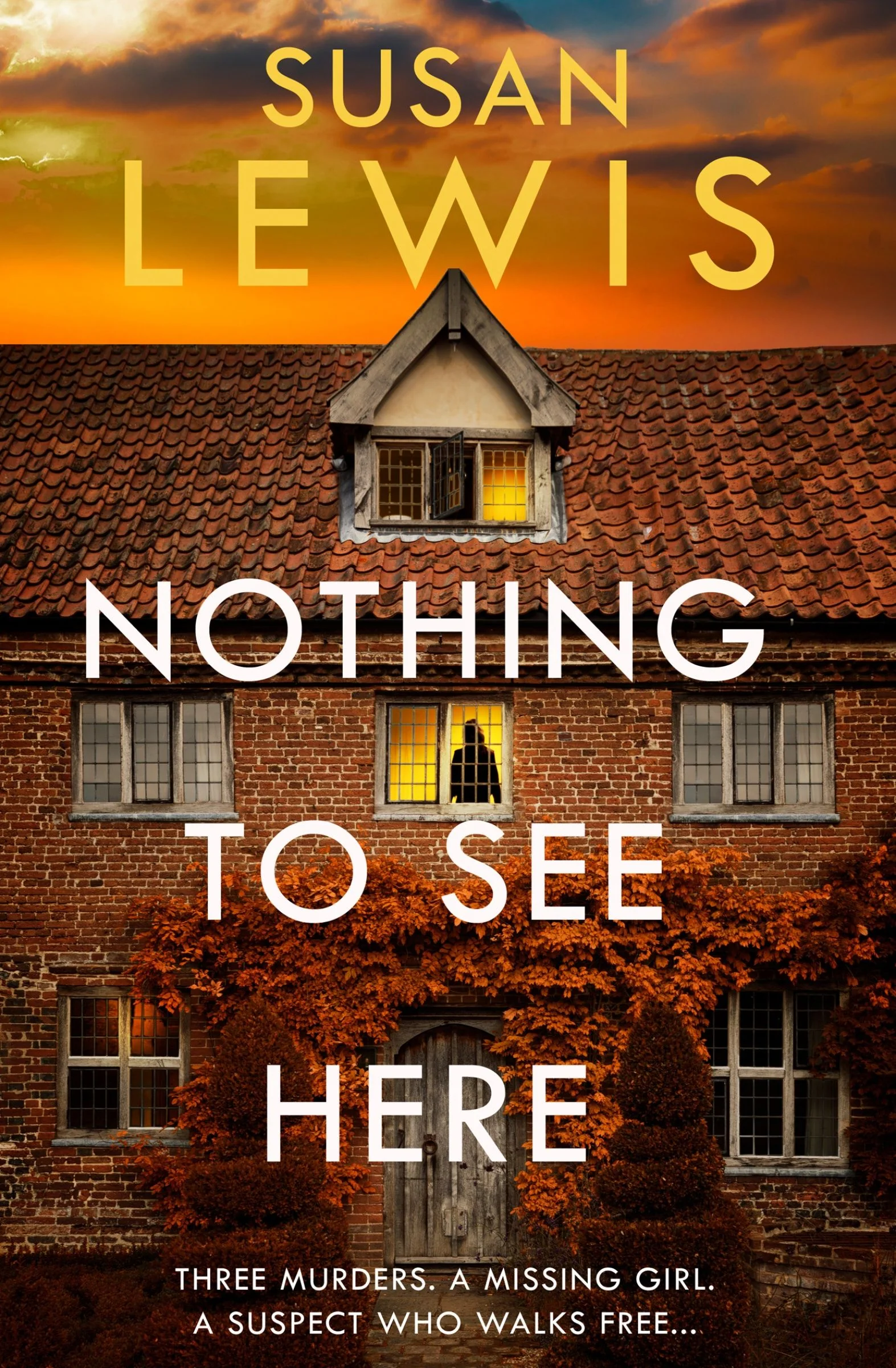 Nothing to See Here (Cristy Ward thriller) - Image 3