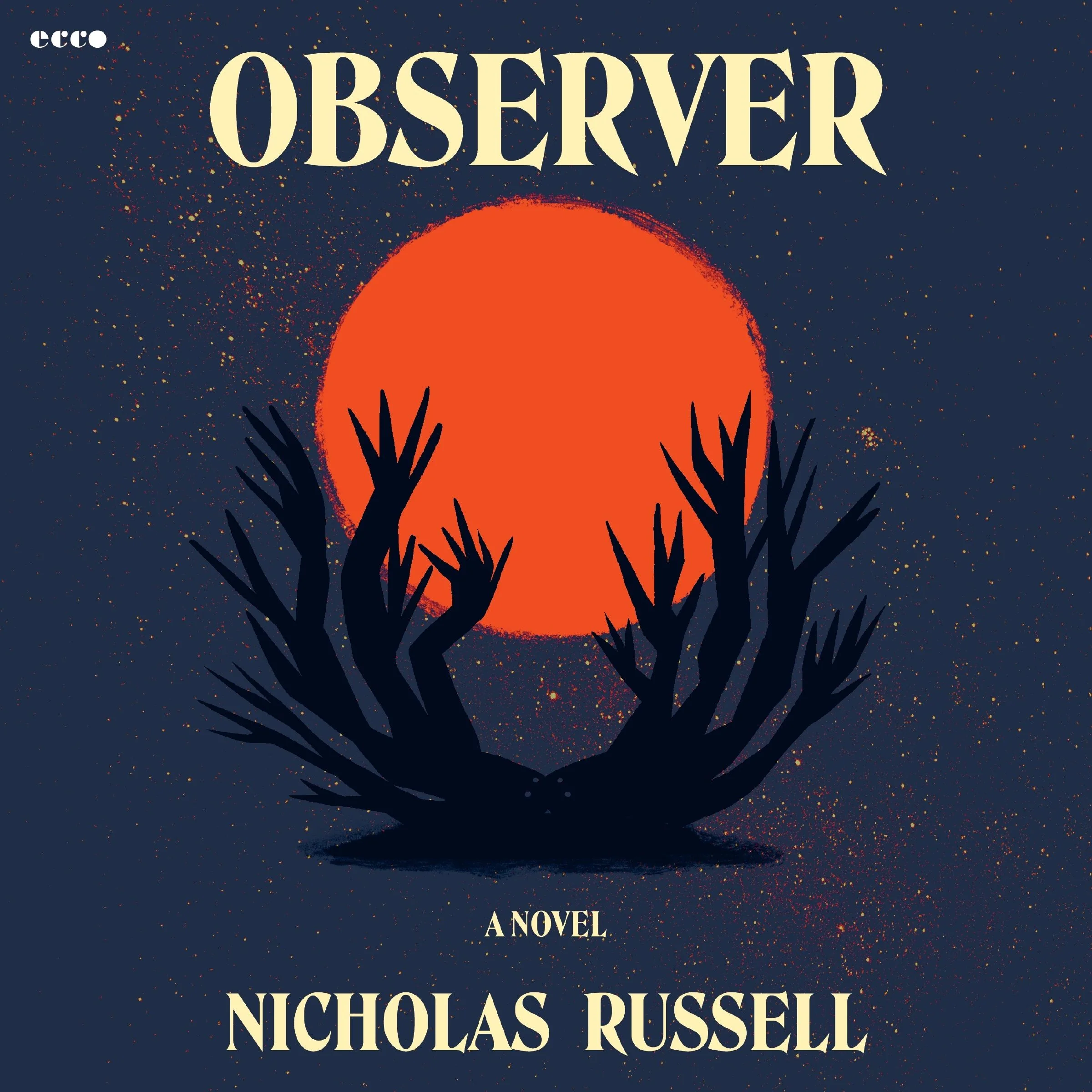 Observer - Image 4