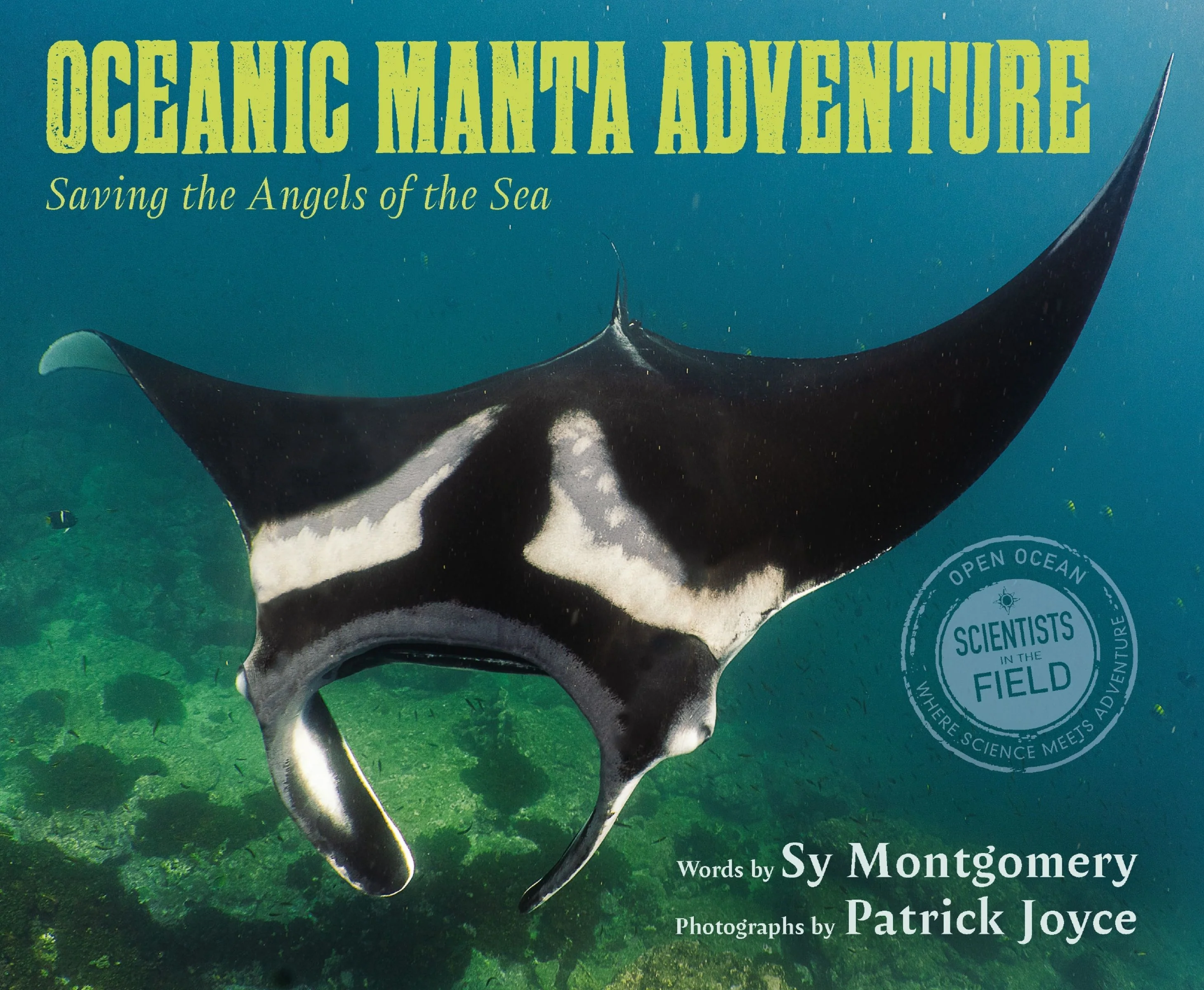 Oceanic Manta Adventure - Image 4