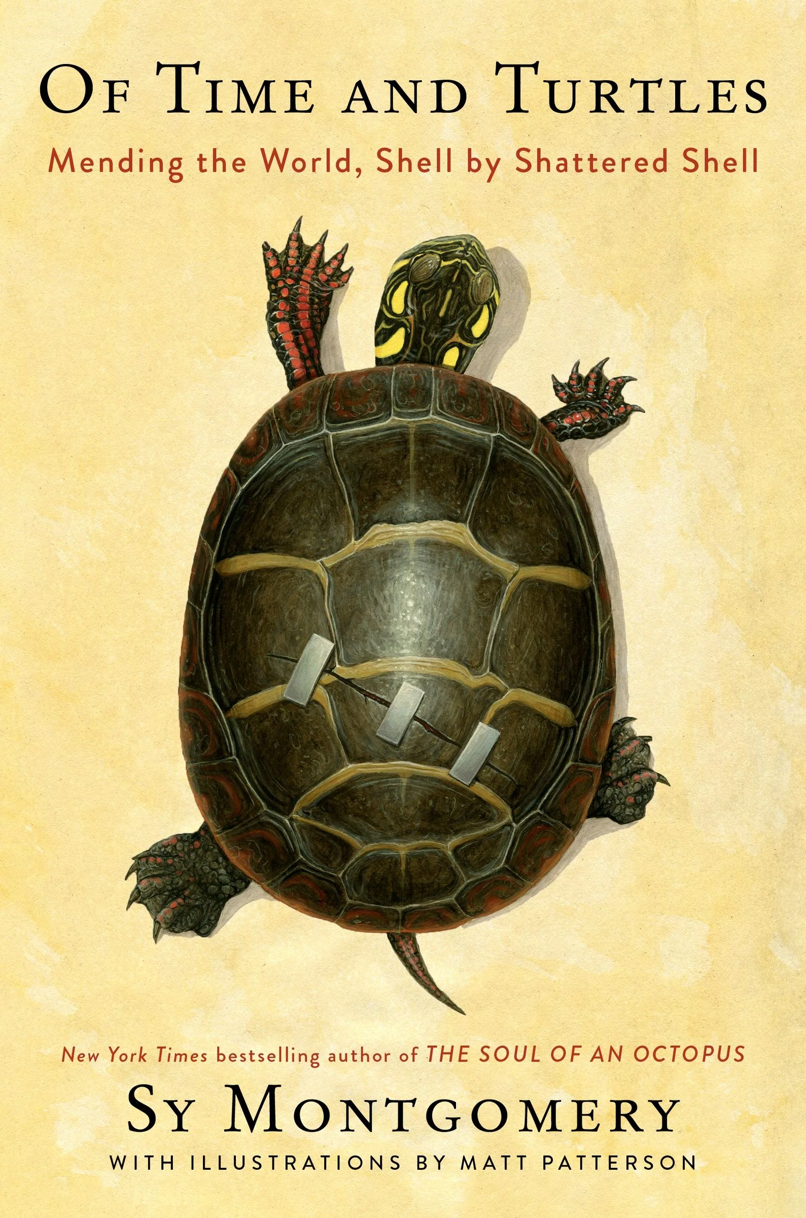 Of Time and Turtles - Image 2