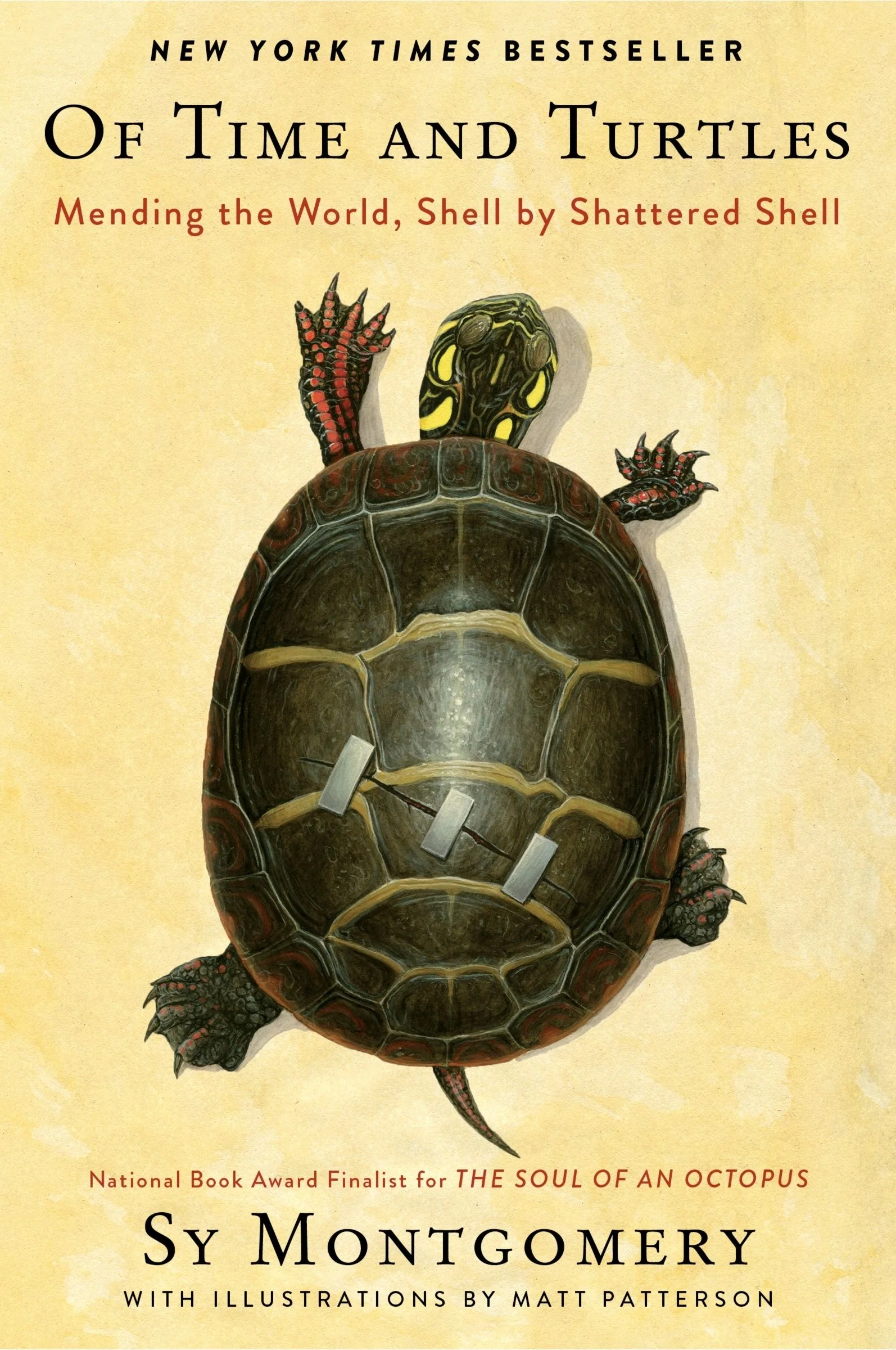 Of Time and Turtles - Image 3