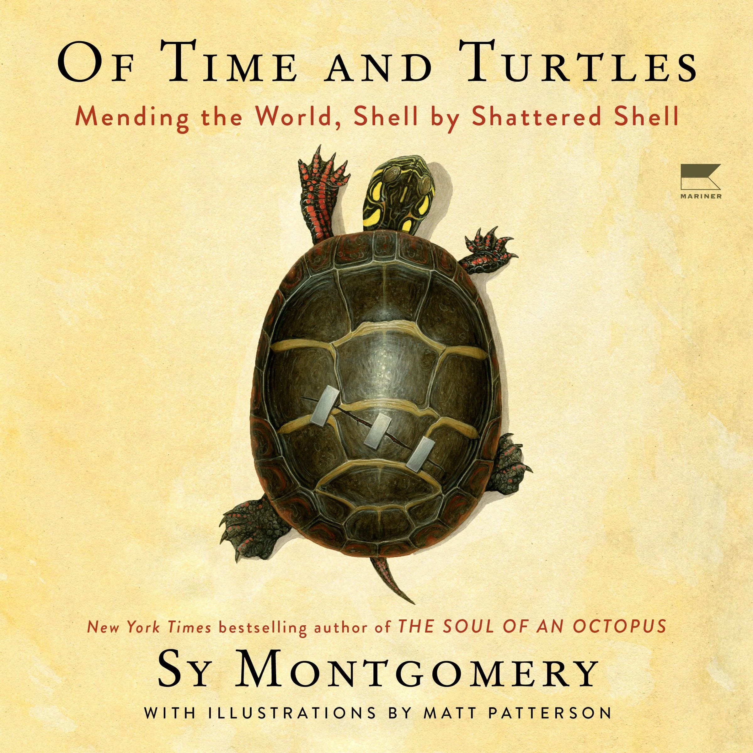 Of Time and Turtles - Image 4