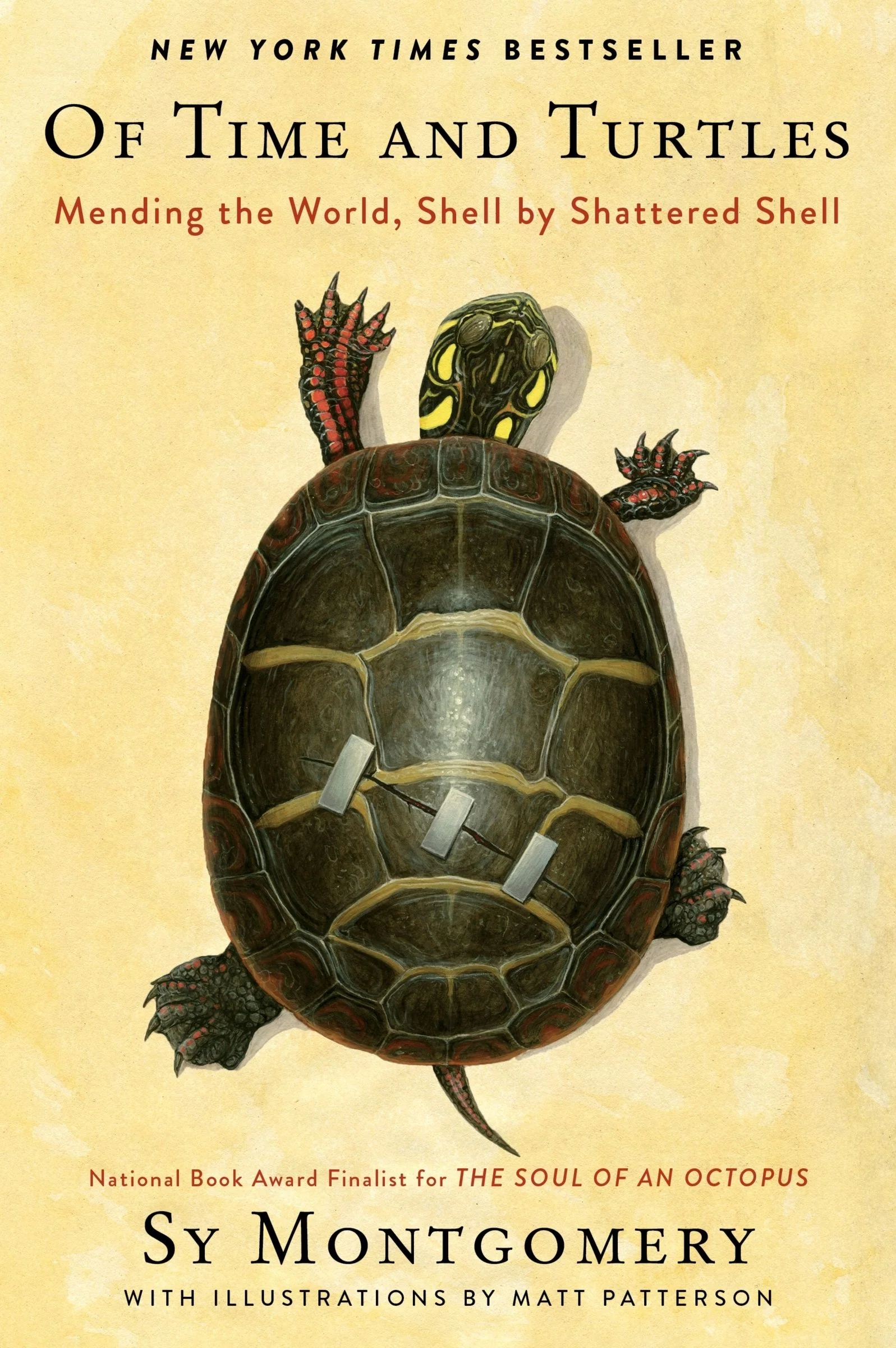 Of Time and Turtles - Image 5