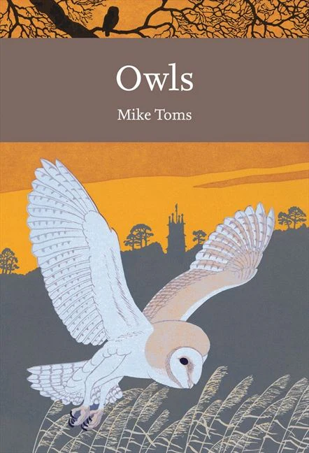 Owls - Image 2