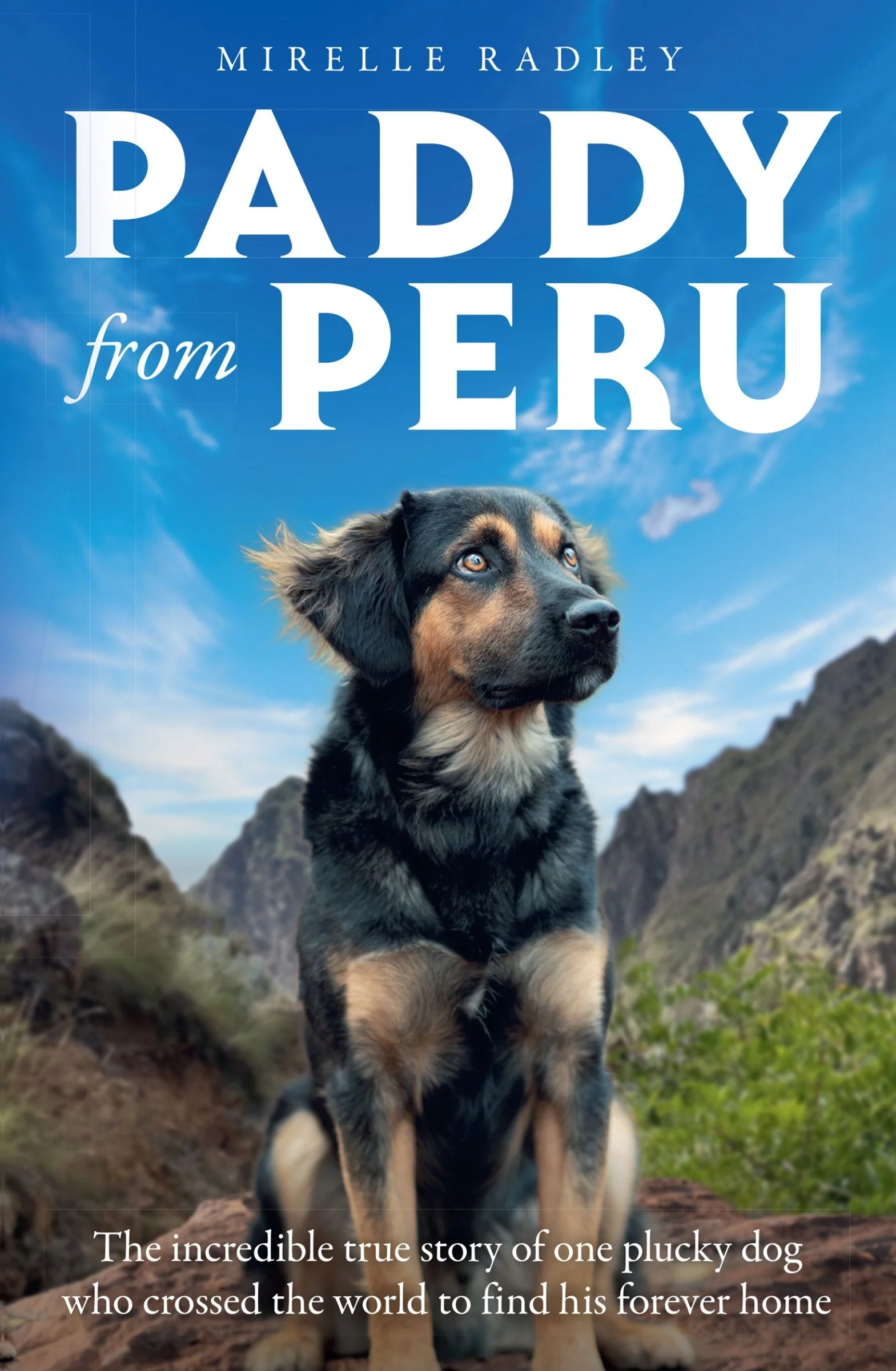 Paddy from Peru: The incredible true story of one plucky dog who crossed the world to find his forever home - Image 2