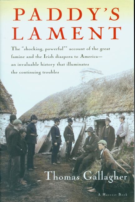 Paddy's Lament, Ireland 1846-1847 - Image 2