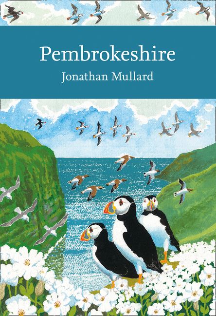 Pembrokeshire - Image 2