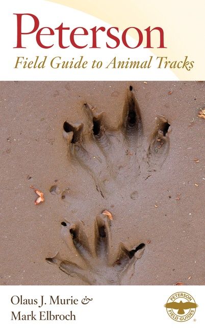 Peterson Field Guide To Animal Tracks - Image 2