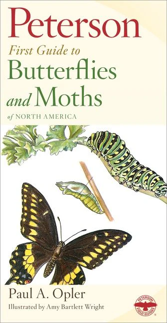 Peterson First Guide To Butterflies And Moths - Image 2