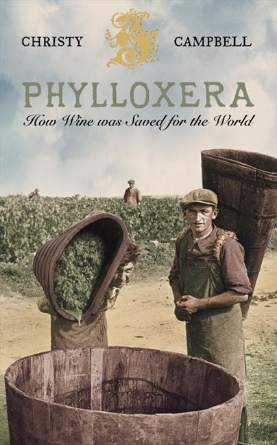 Phylloxera - Image 2