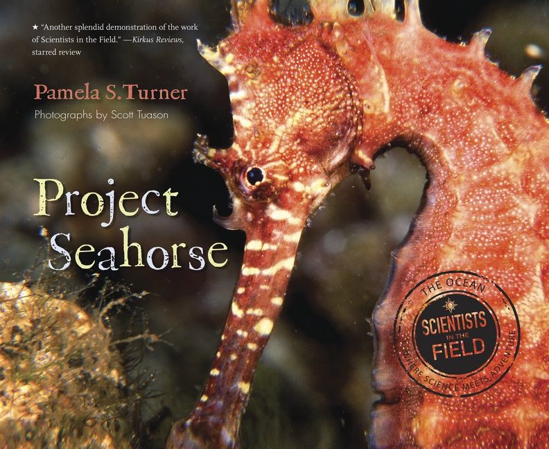 Project Seahorse - Image 2
