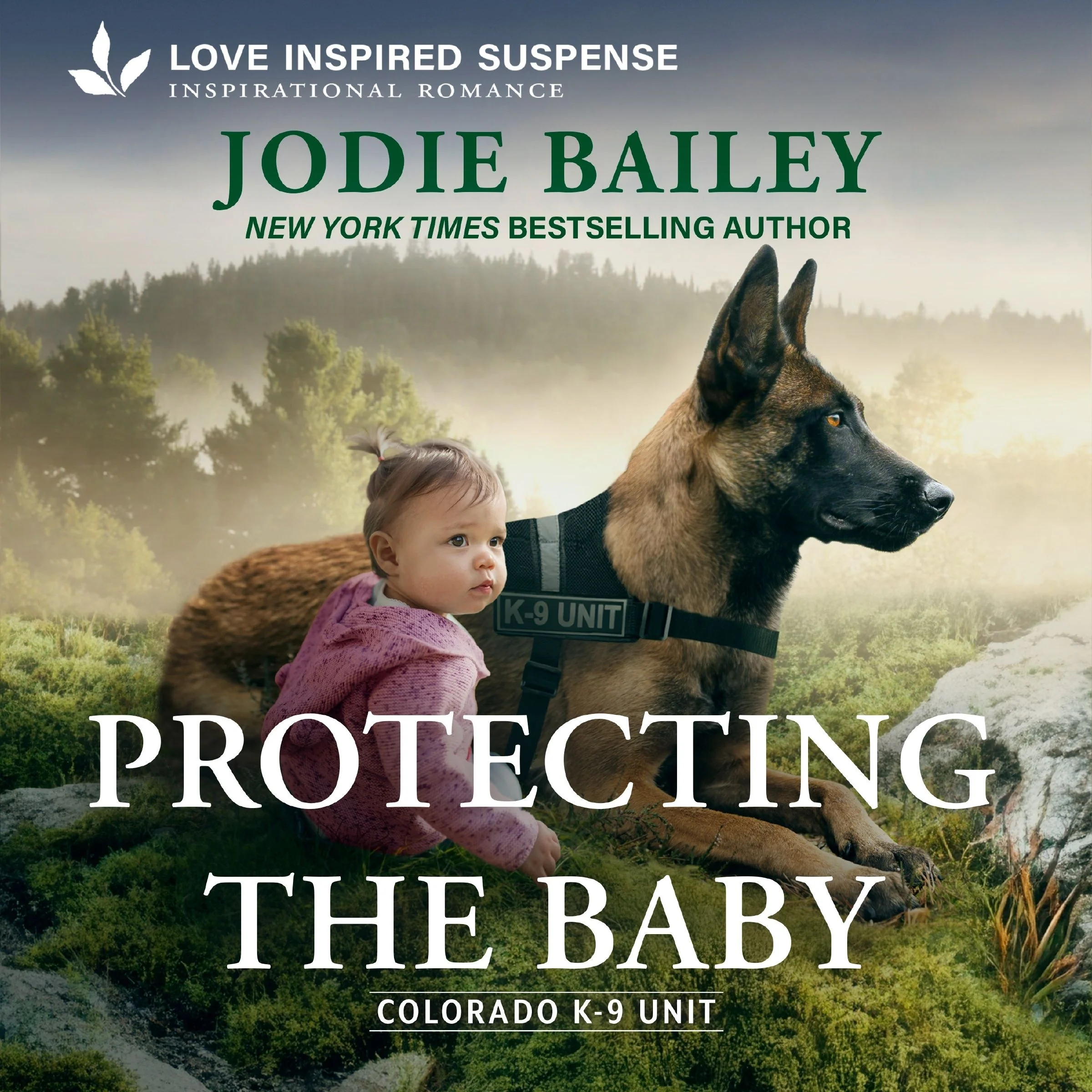 Protecting the Baby - Image 2