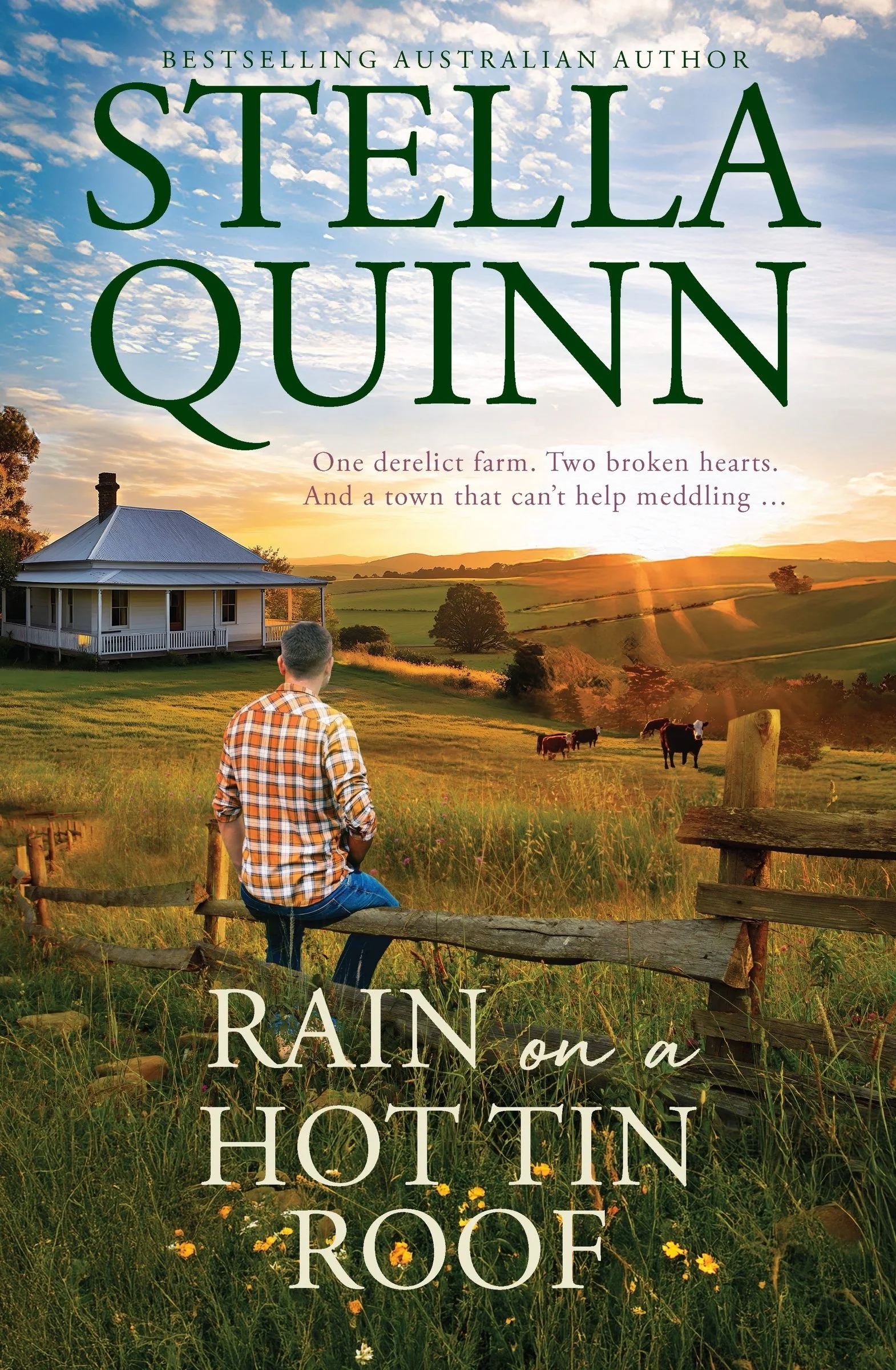 Rain on a Hot Tin Roof: A single dad and a town of matchmakers, 2026's funny new romance, perfect for readers of Karly Lane, from an award-winning and bestseller author - Image 3