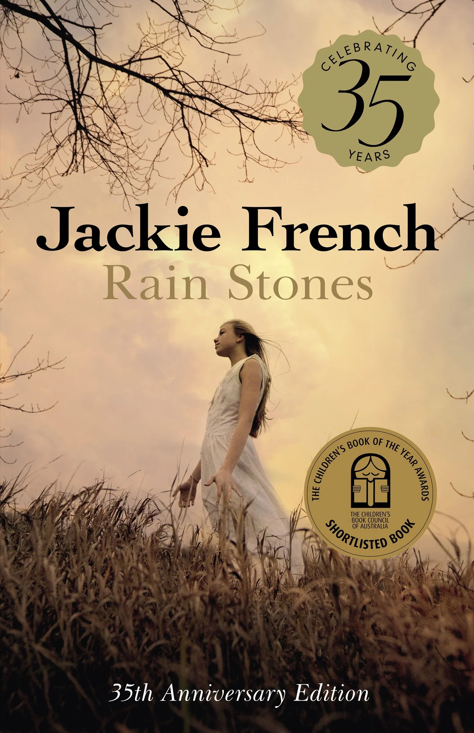 Rain Stones 35th Anniversary Edition: Classic short stories to inspire courage and kindness, and reveal magic within the ordinary, from a bestselling children's author - Image 2