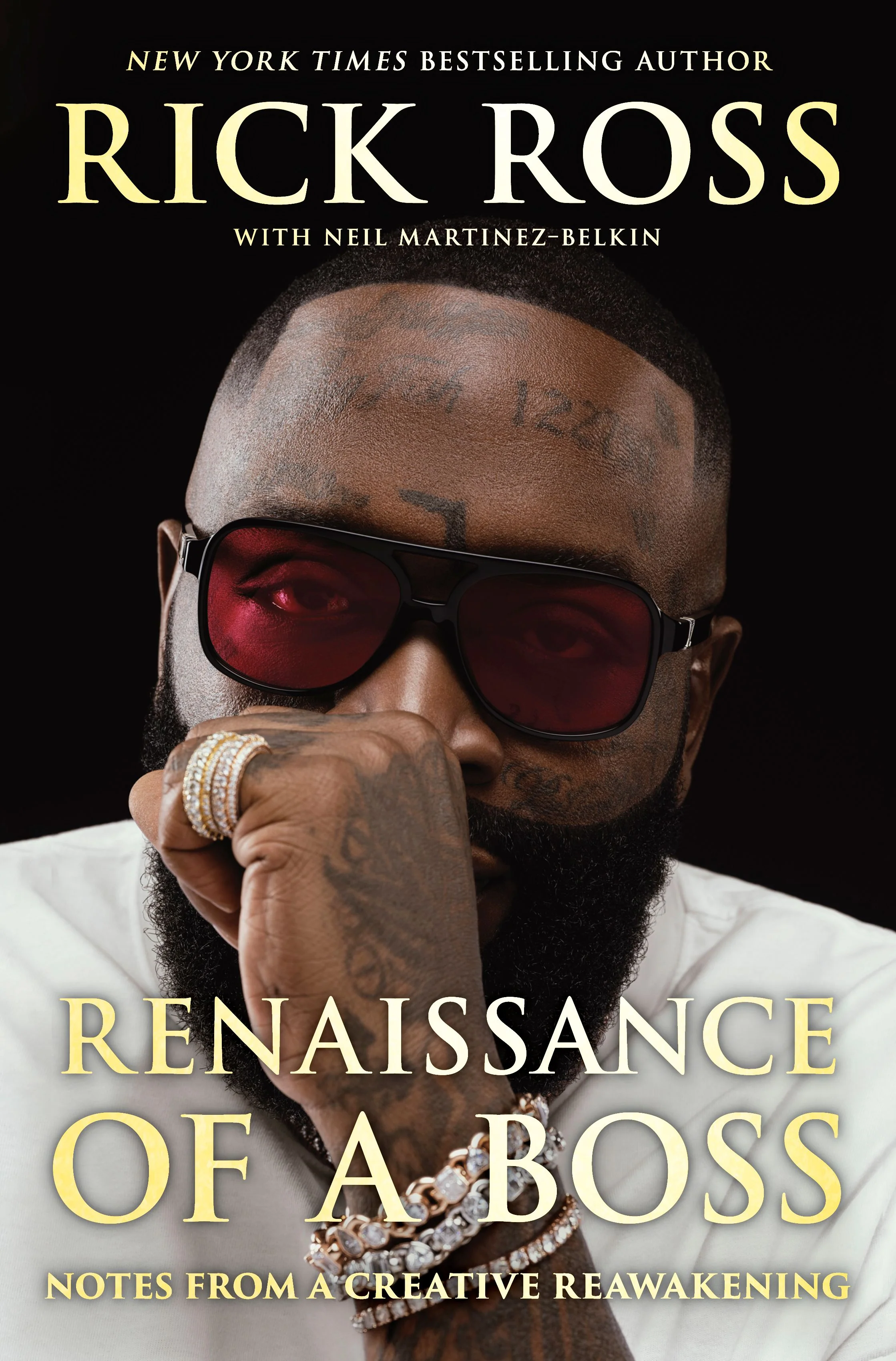 Renaissance of a Boss - Image 2