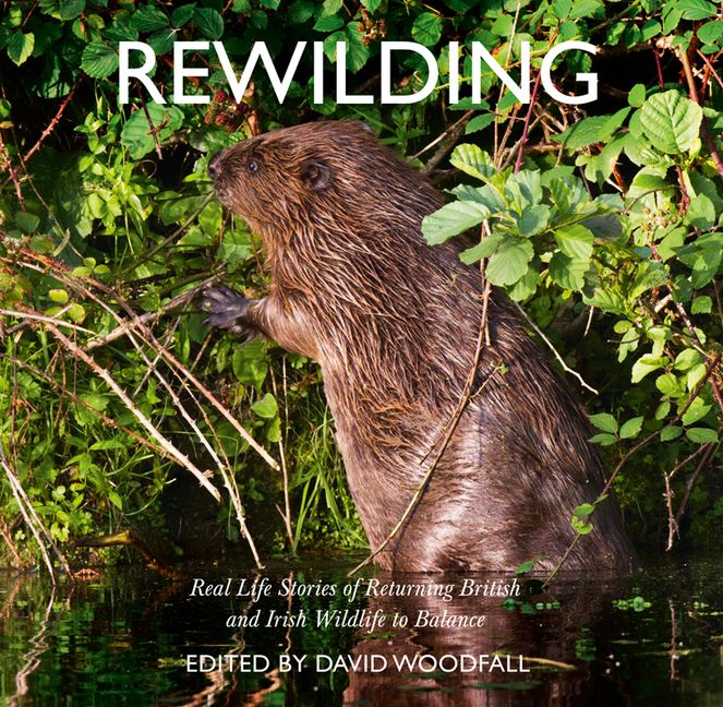 Rewilding - Image 2