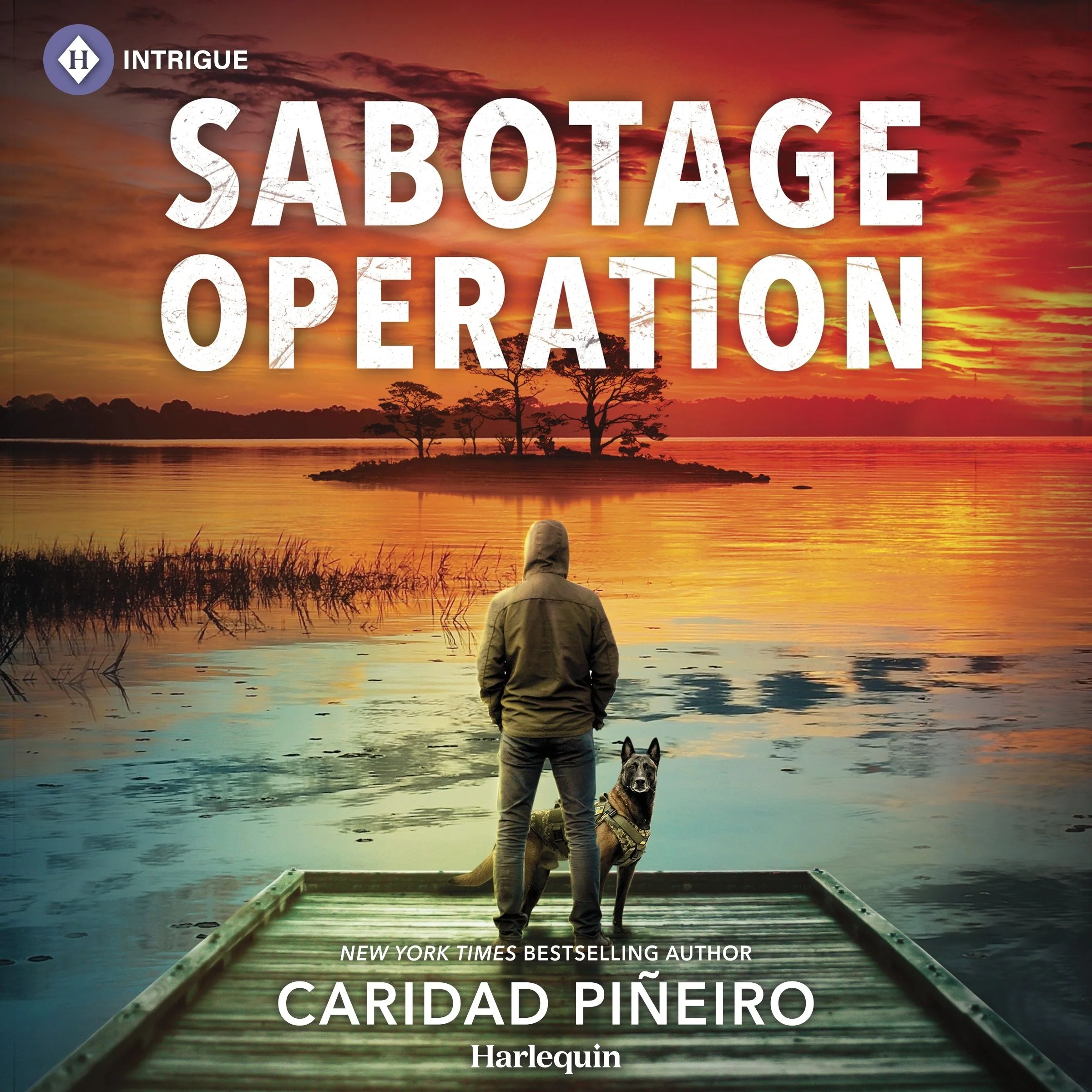 Sabotage Operation - Image 2