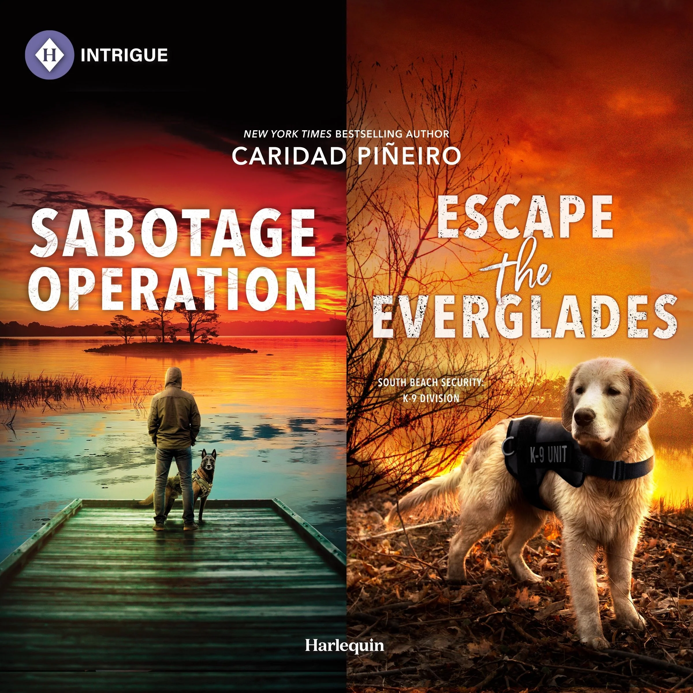 Sabotage Operation & Escape the Everglades - Image 2