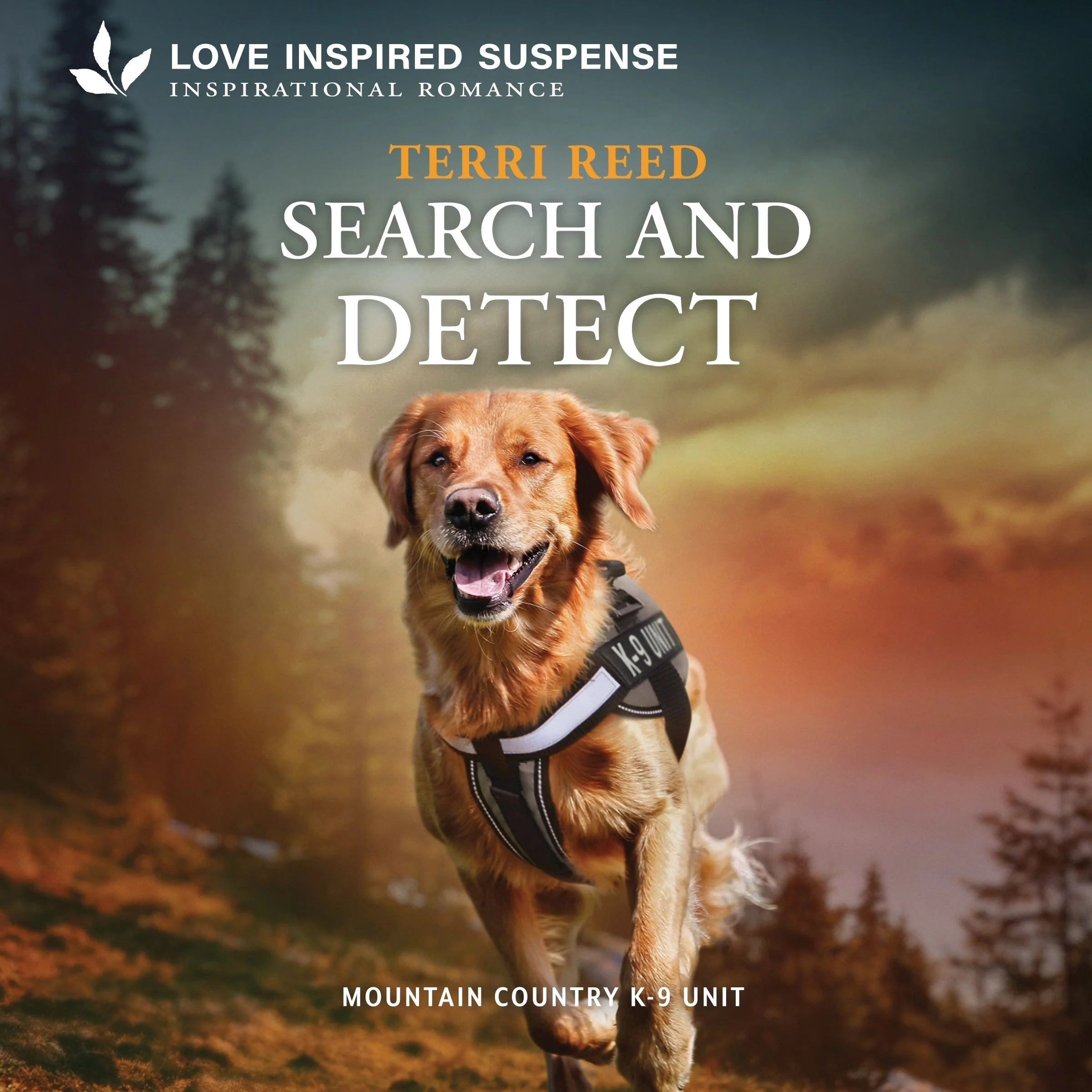 Search and Detect - Image 2