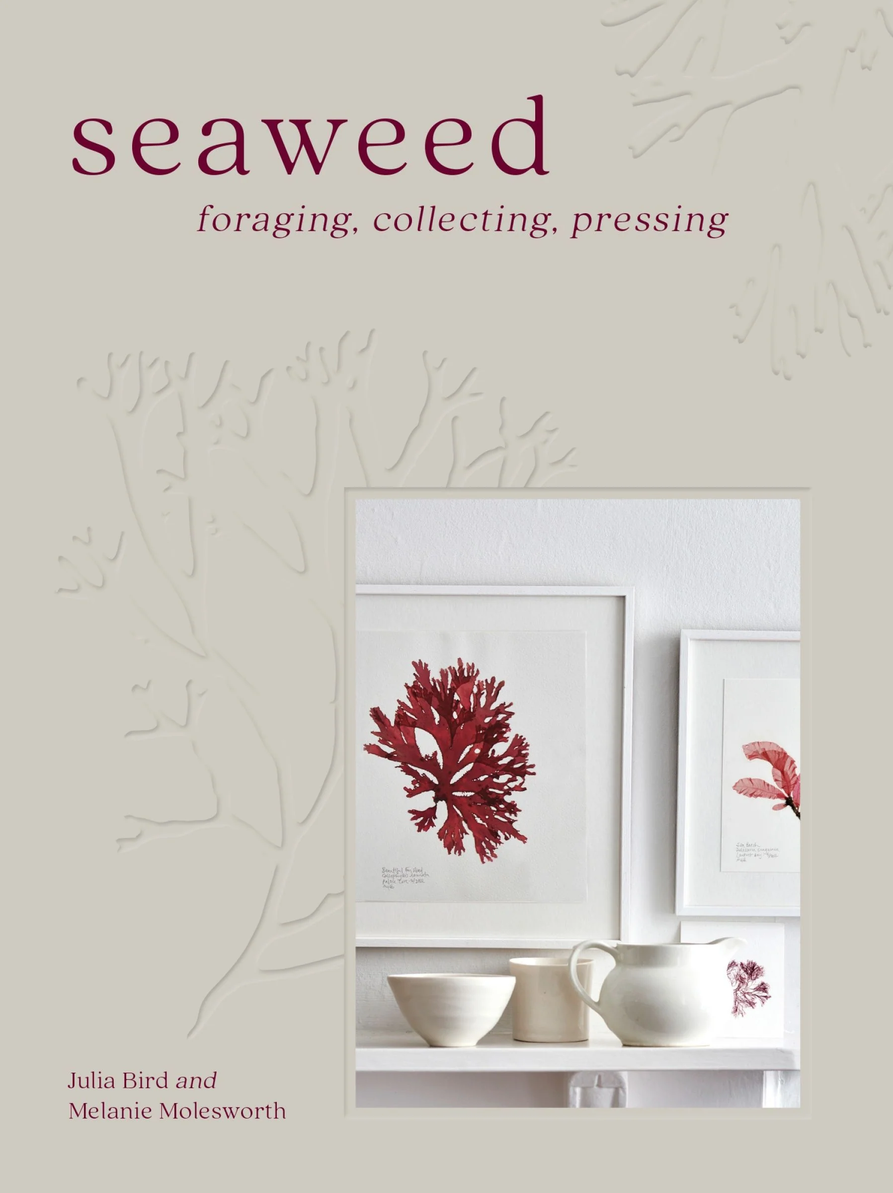 Seaweed: Foraging, Collecting, Pressing - Image 3