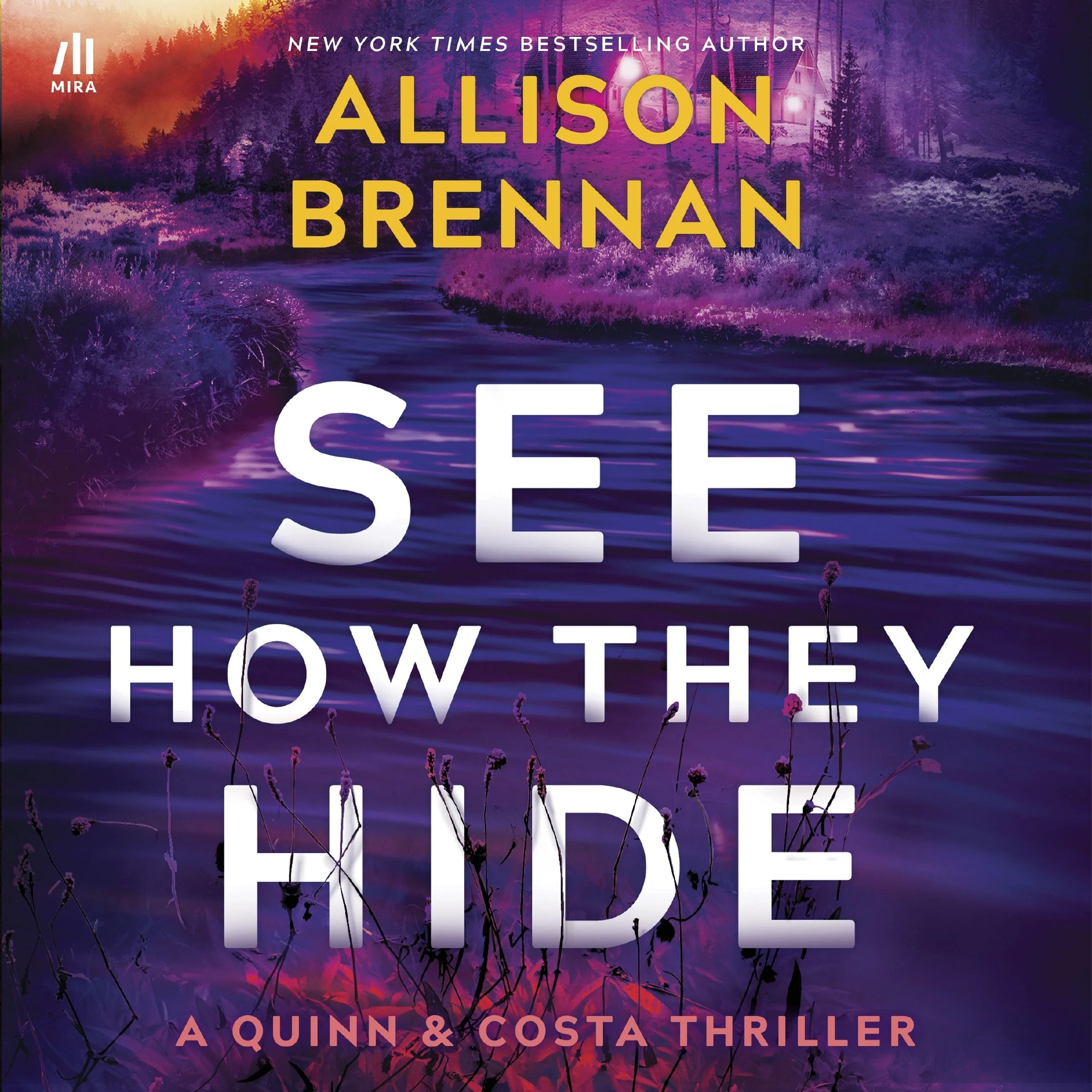 See How They Hide - Image 4