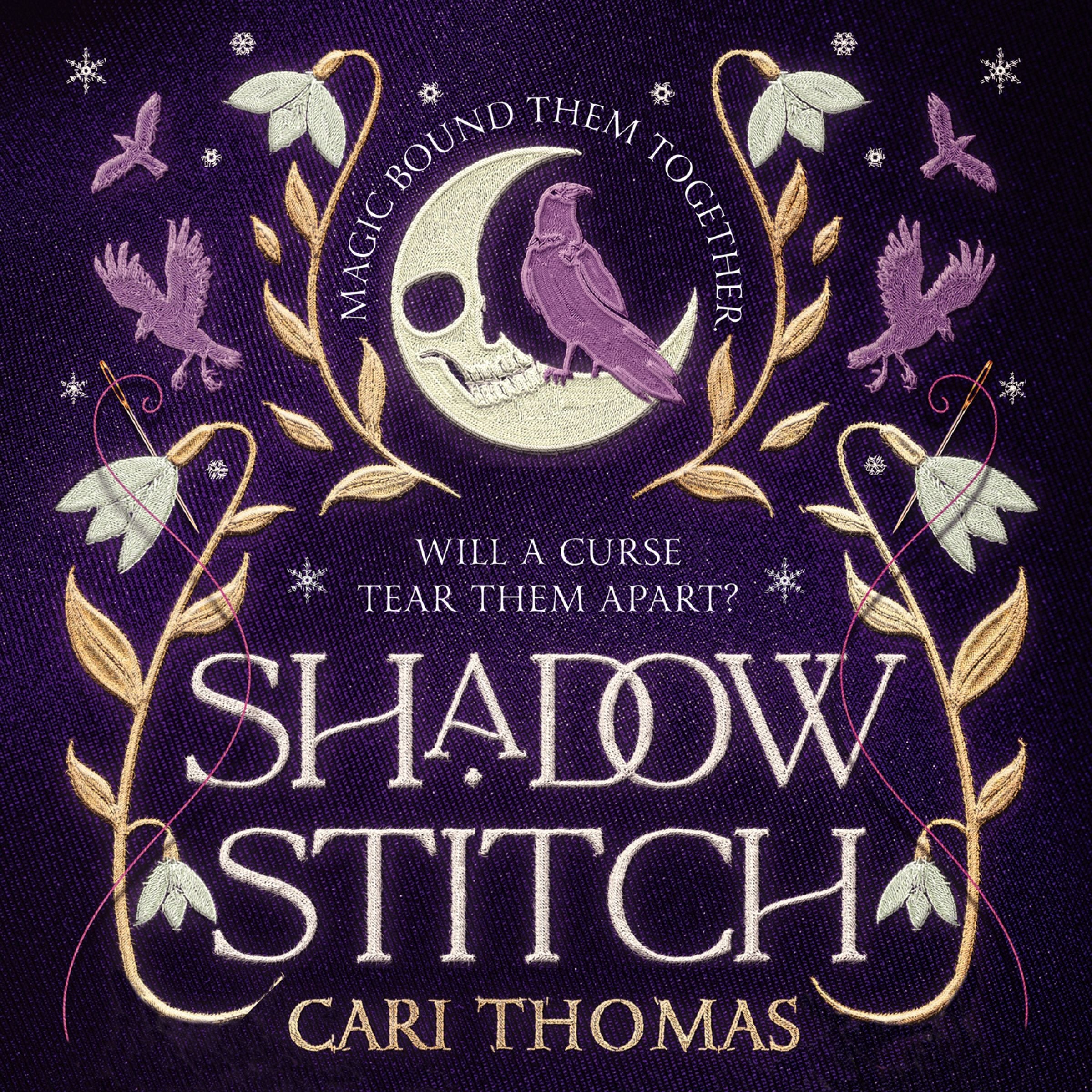 Shadowstitch (Threadneedle, Book 2) - Image 6