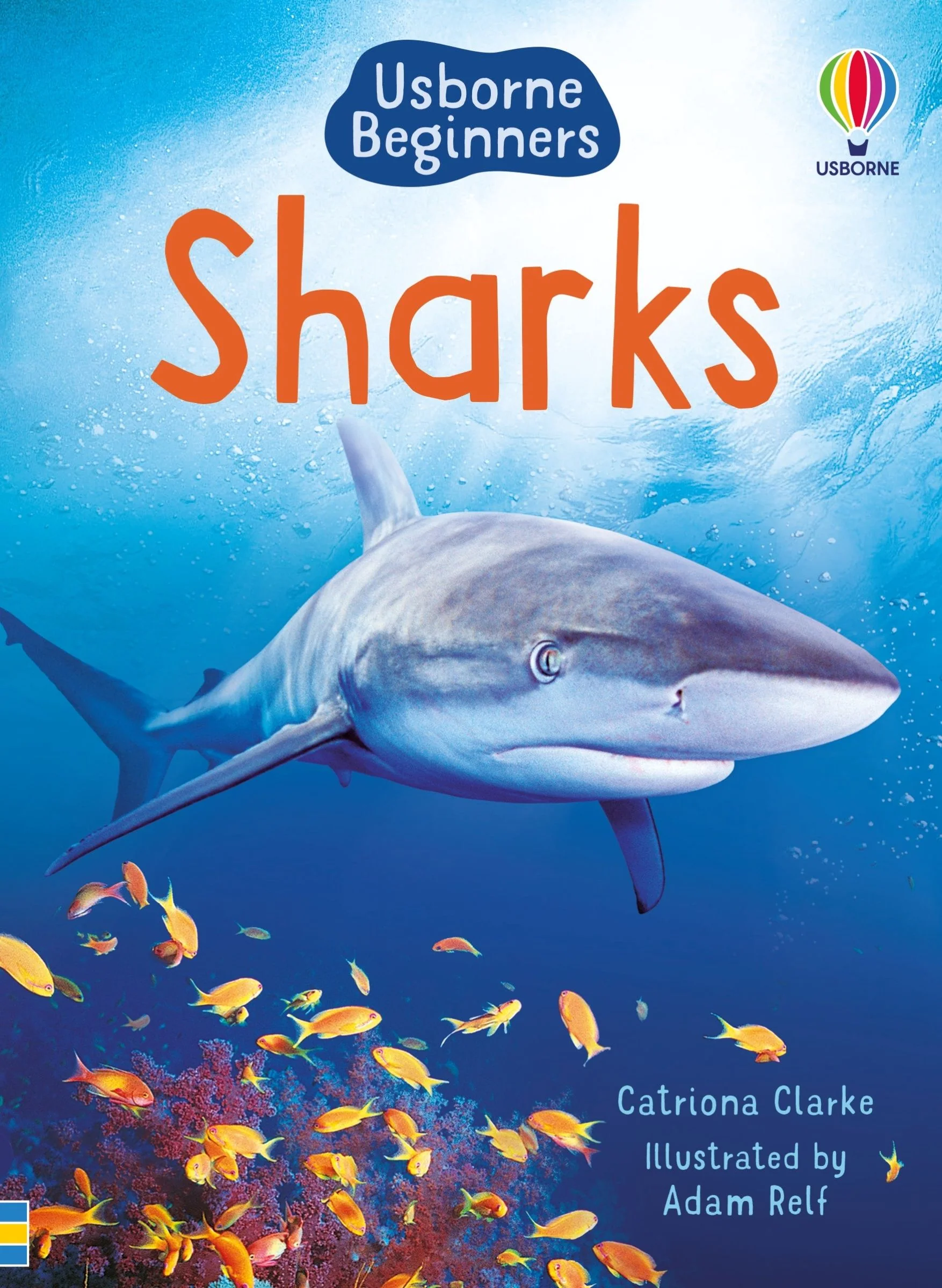 Sharks (Usborne Beginners) - Image 2