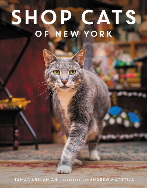 Shop Cats of New York - Image 2