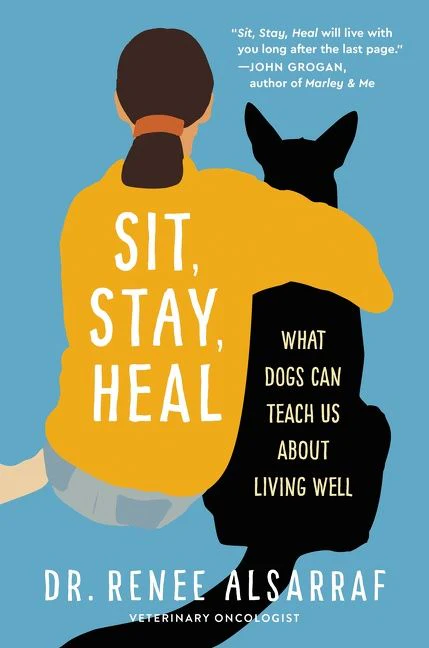 Sit, Stay, Heal - Image 2